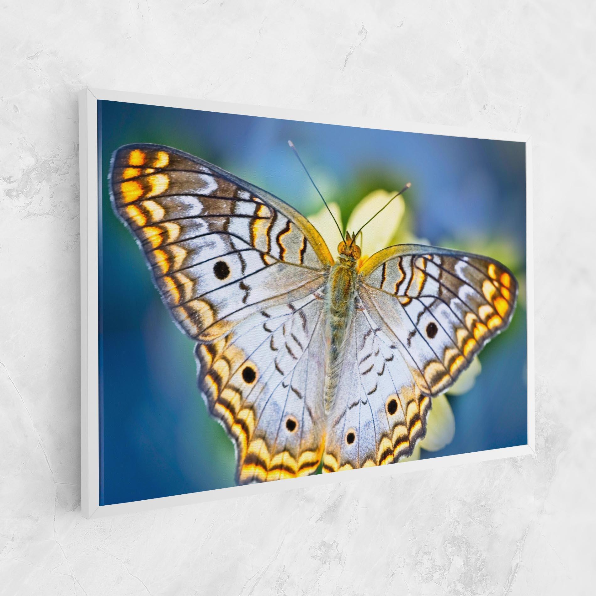 Leinwandbild Yellow Grey Butterfly mockup 1