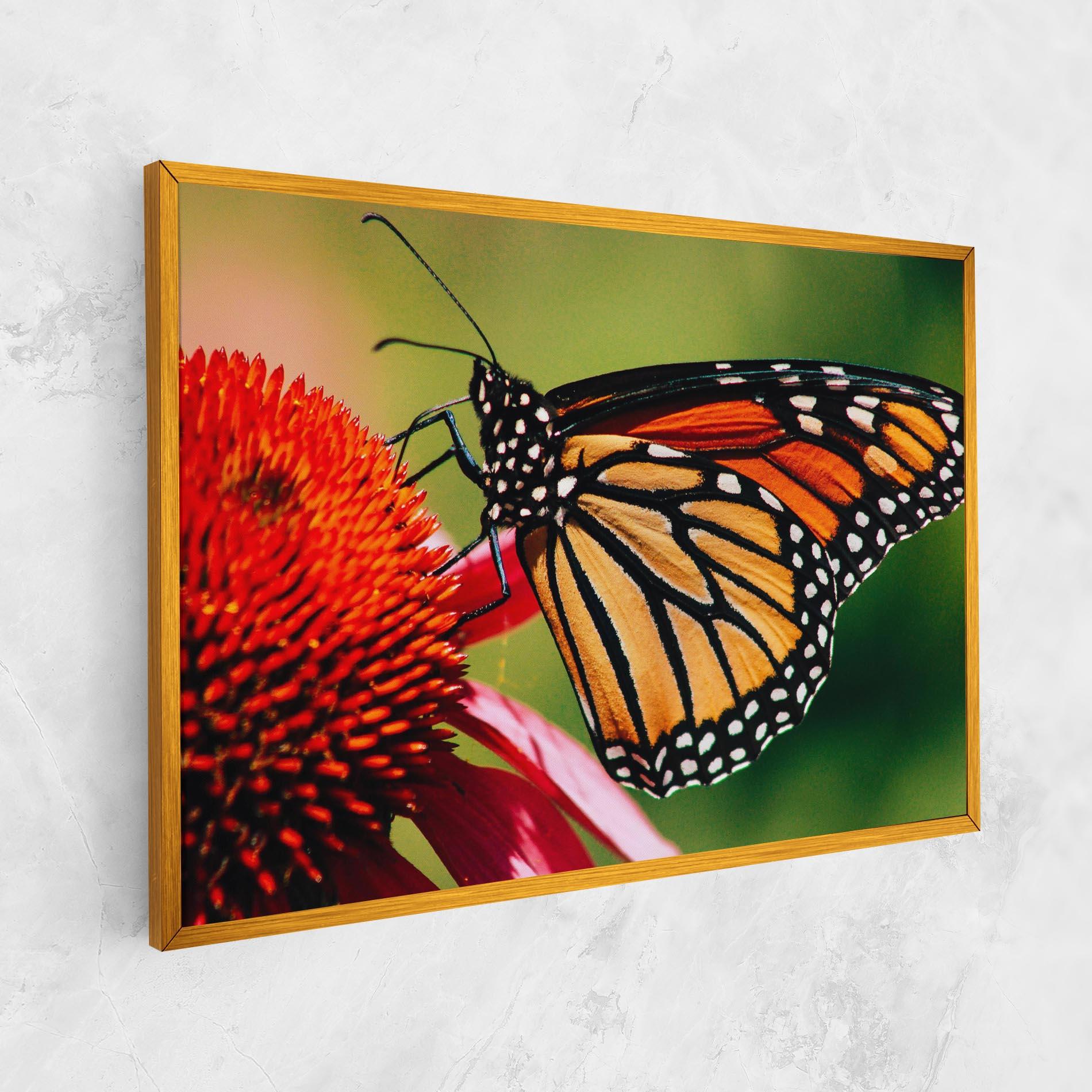 Leinwandbild Big Orange Butterfly mockup 1
