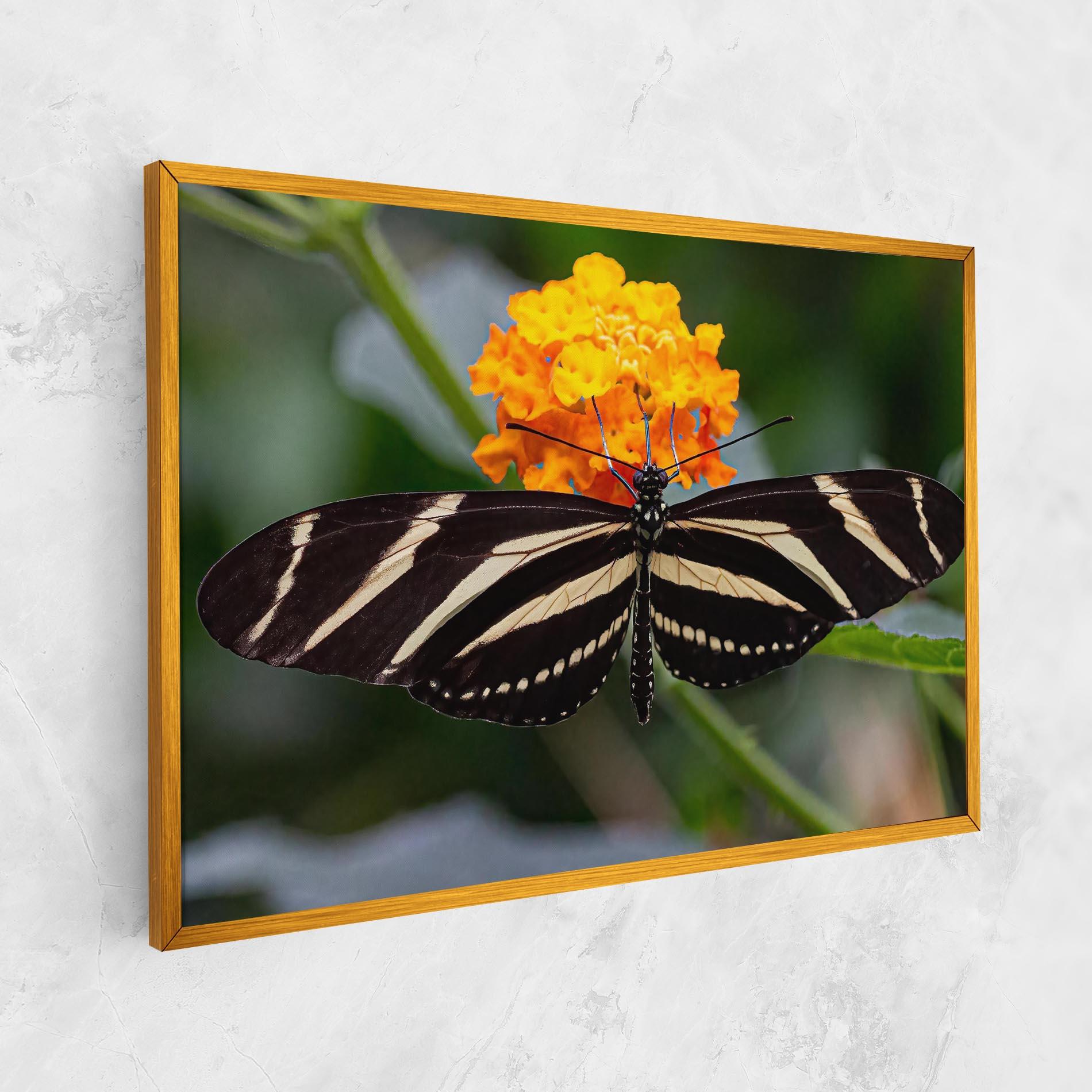 Leinwandbild Big Wings Butterfly mockup 1