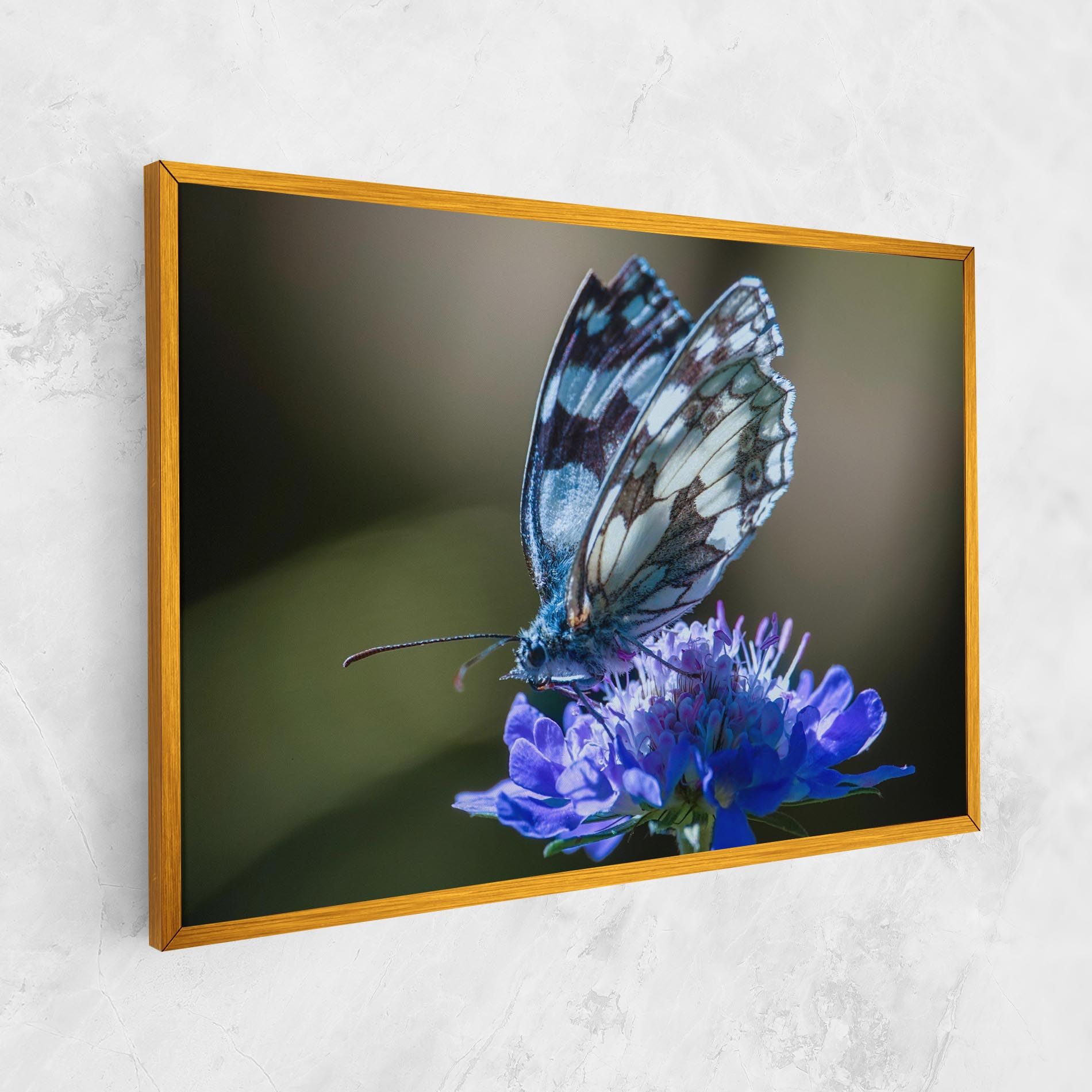 Blue Butterfly In Nature mockup 1