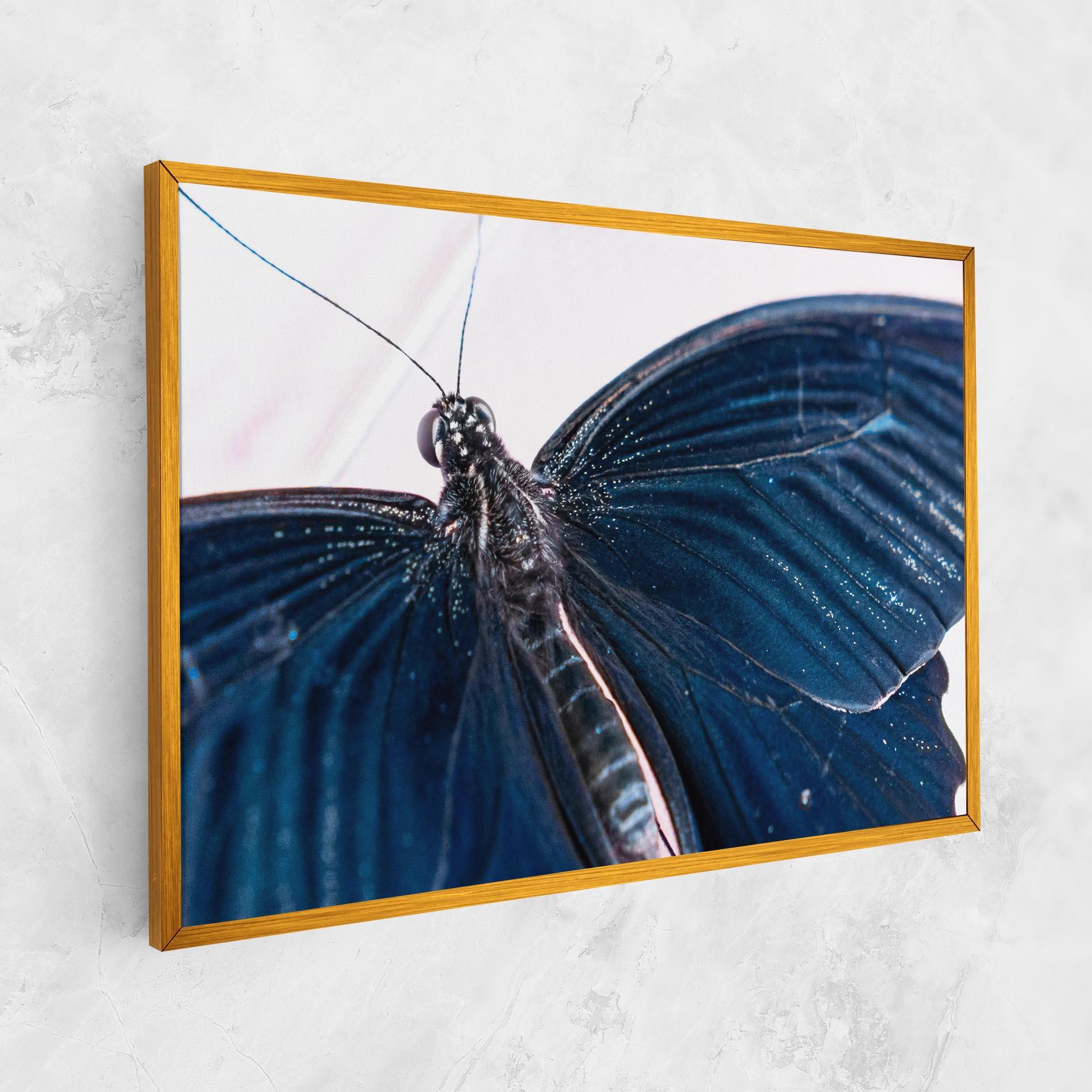 Leinwandbild Blue Butterfly mockup 1