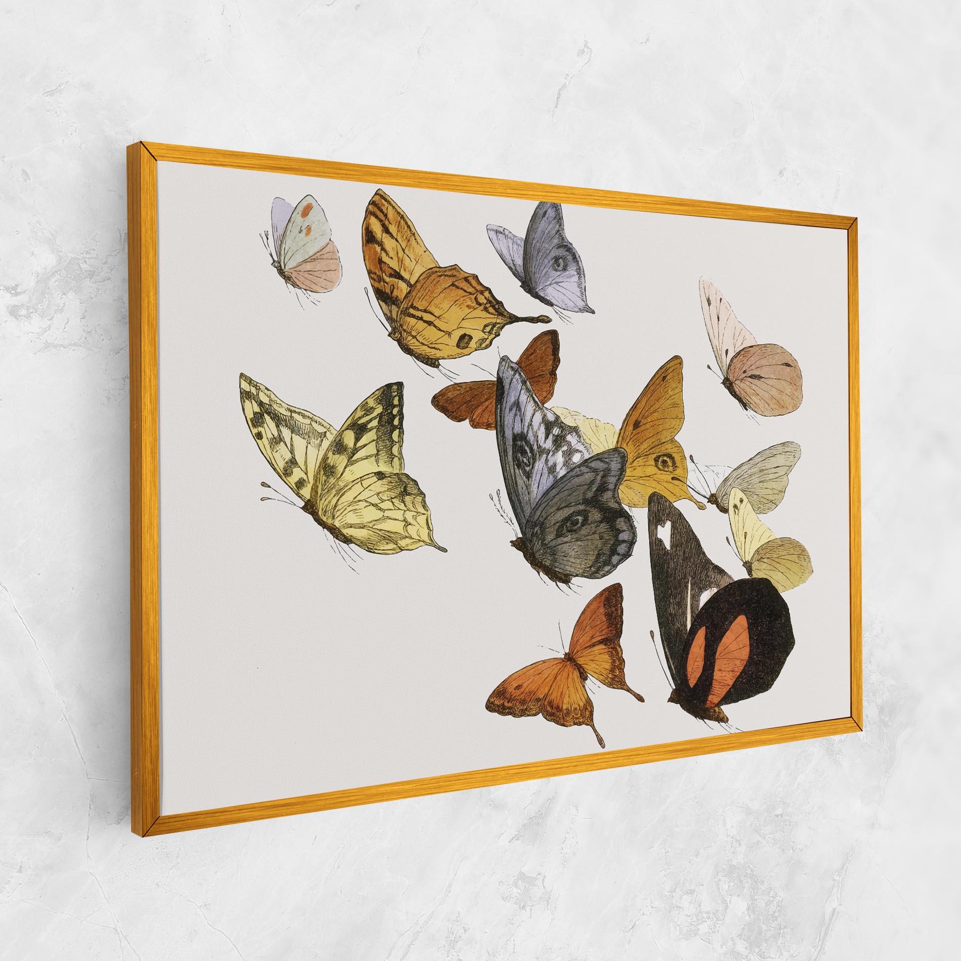 Leinwandbild Butterfly Floating mockup 1
