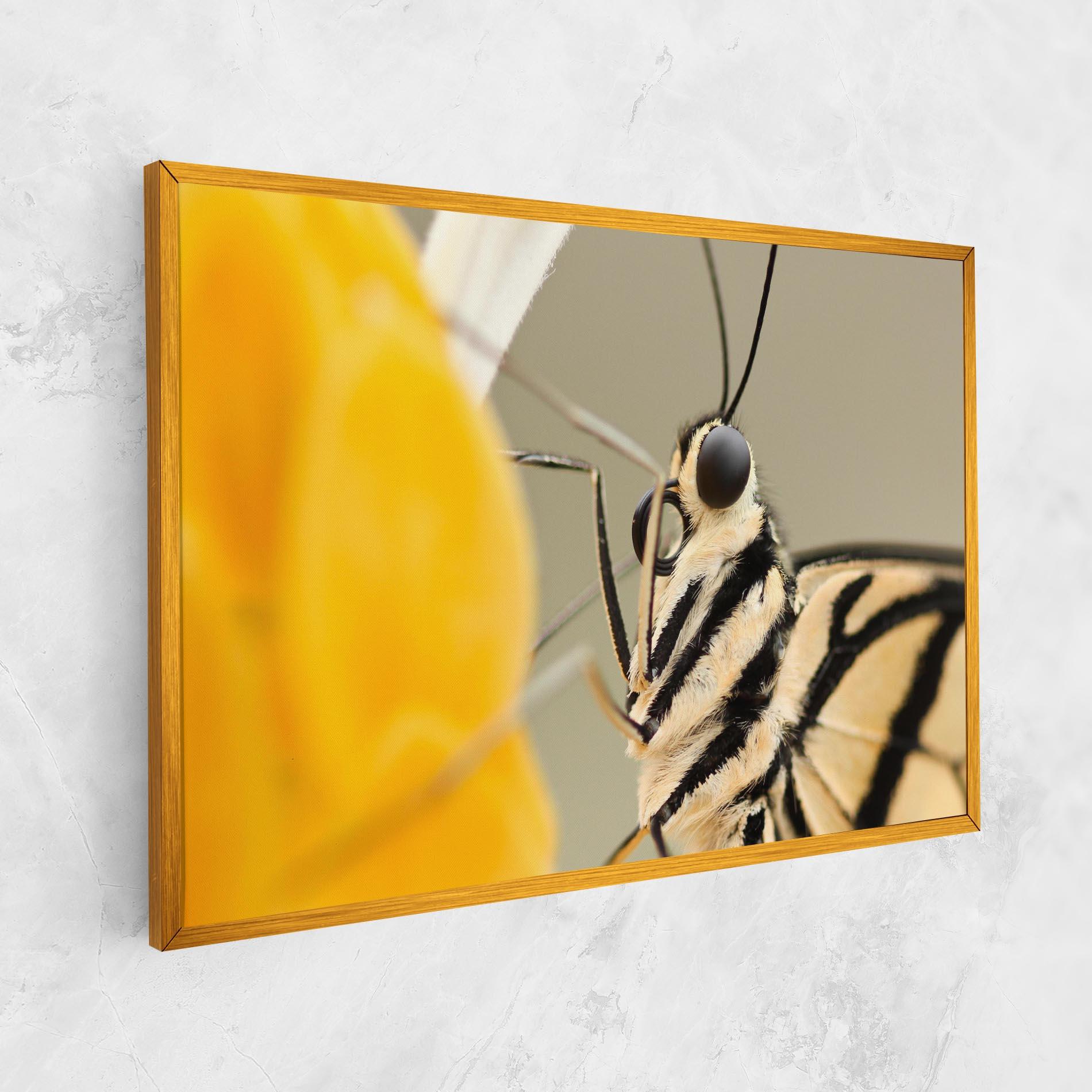 Leinwandbild Close Up Cream Butterfly mockup 1