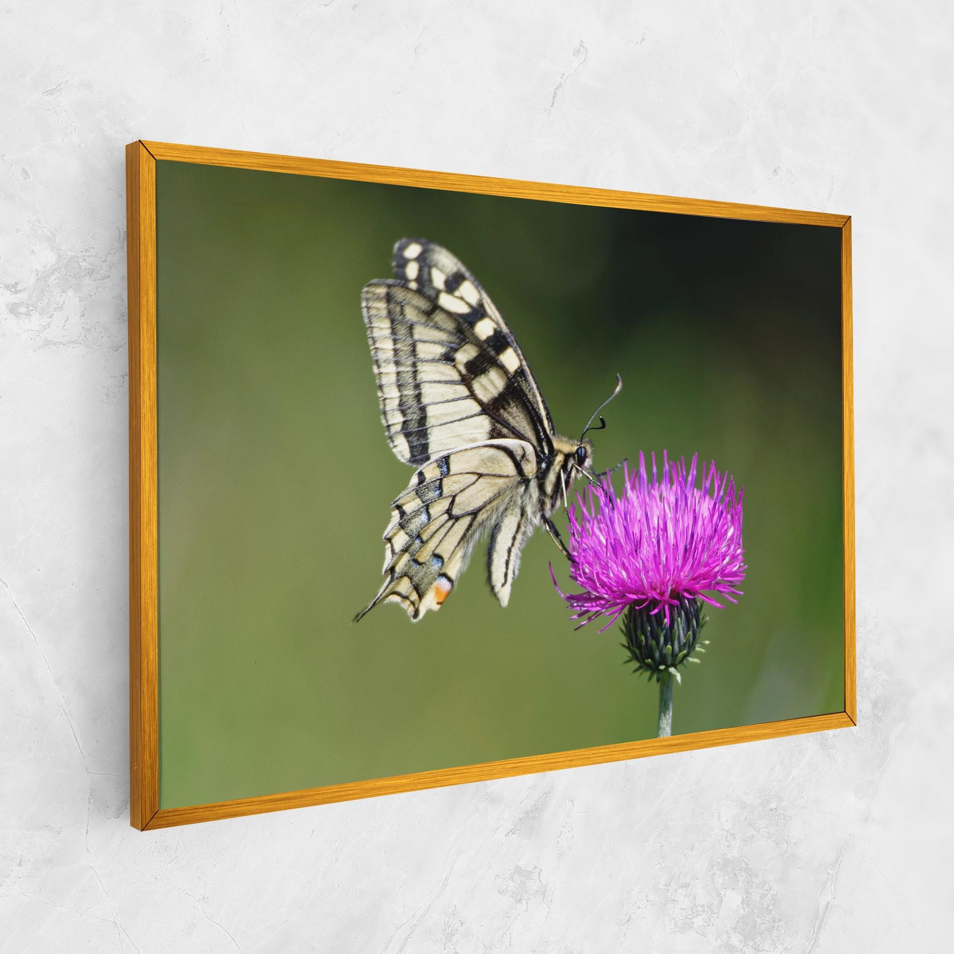 Leinwandbild White Butterfly Pollen mockup 1