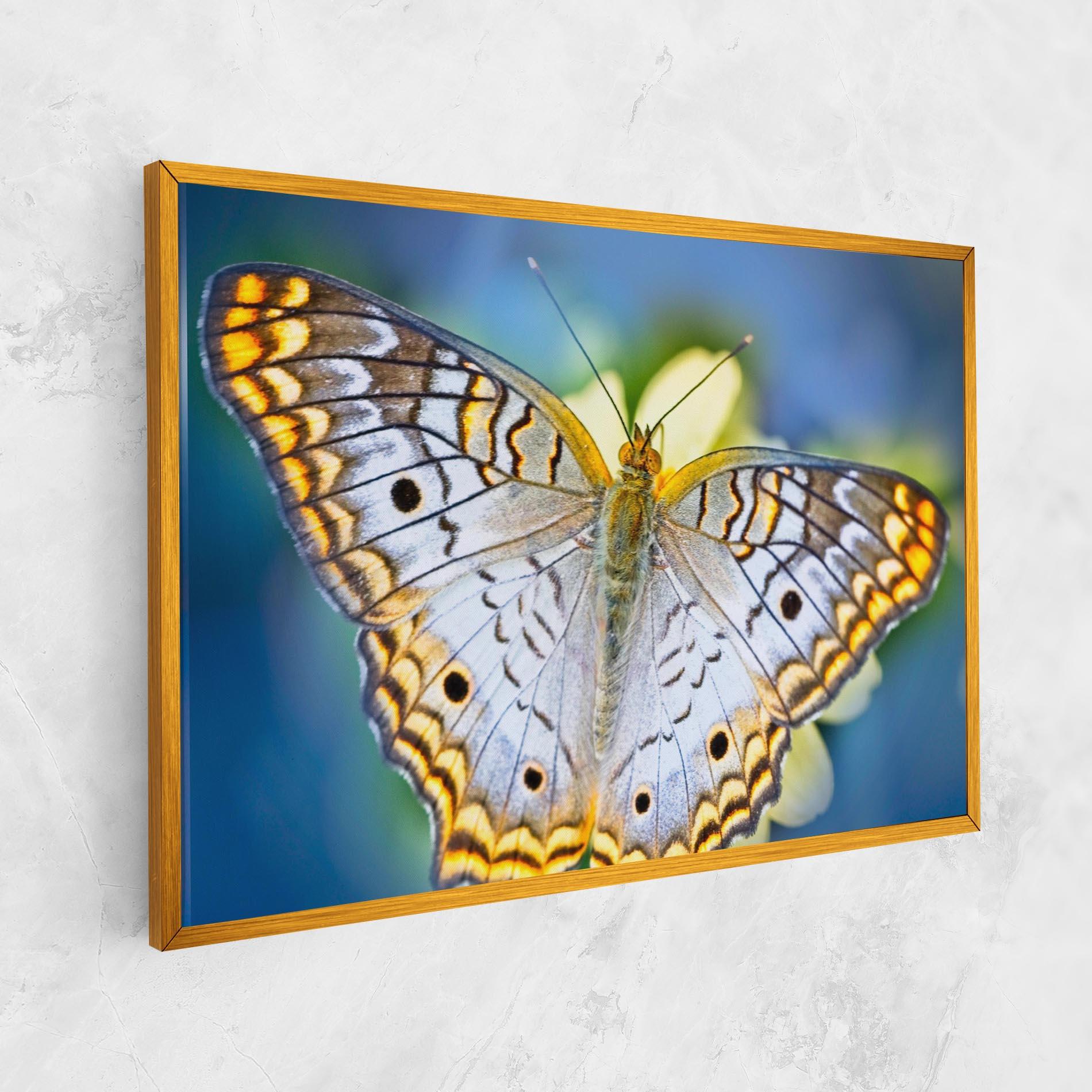 Leinwandbild Yellow Grey Butterfly mockup 1