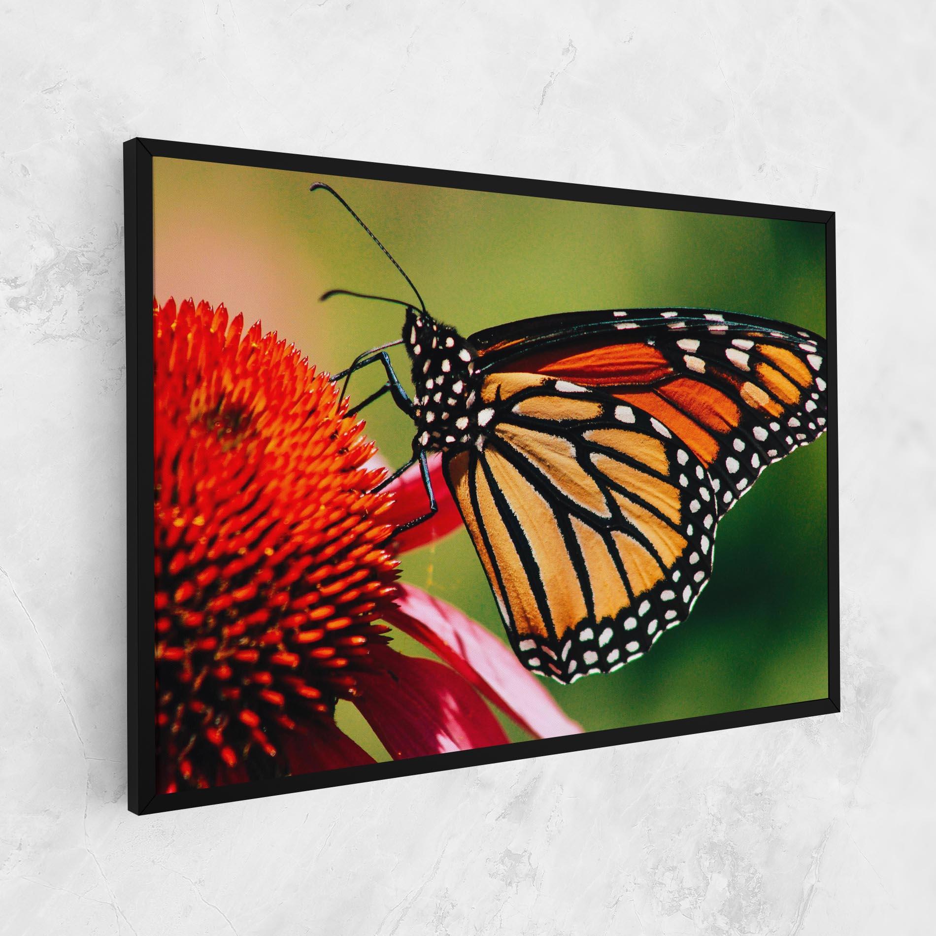 Leinwandbild Big Orange Butterfly mockup 1