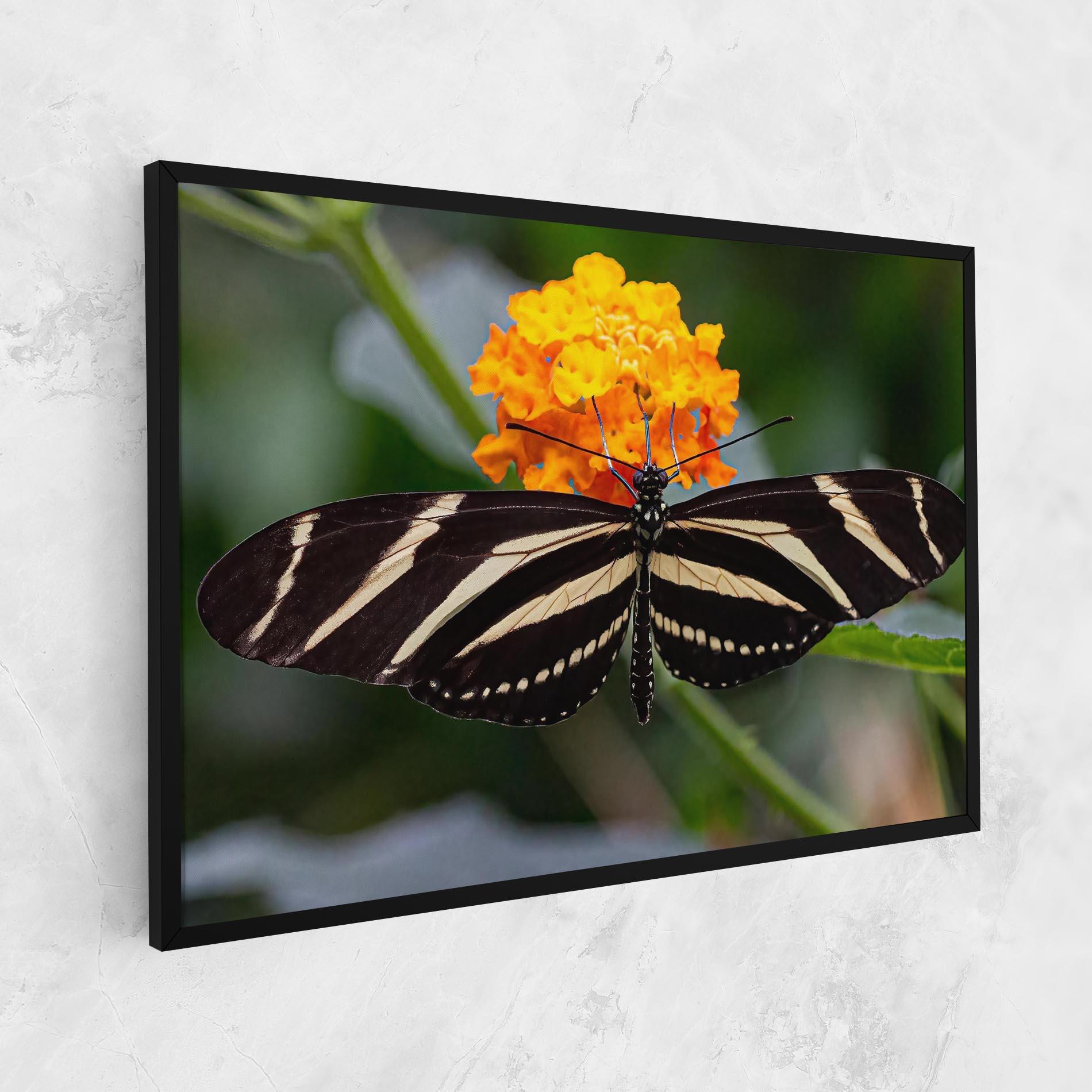 Leinwandbild Big Wings Butterfly mockup 1