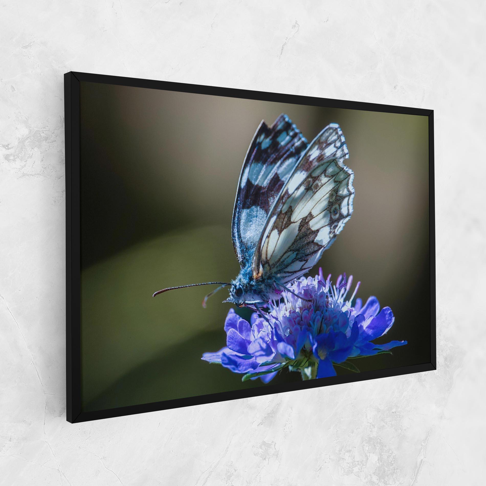 Leinwandbild Blue Butterfly In Nature mockup 1