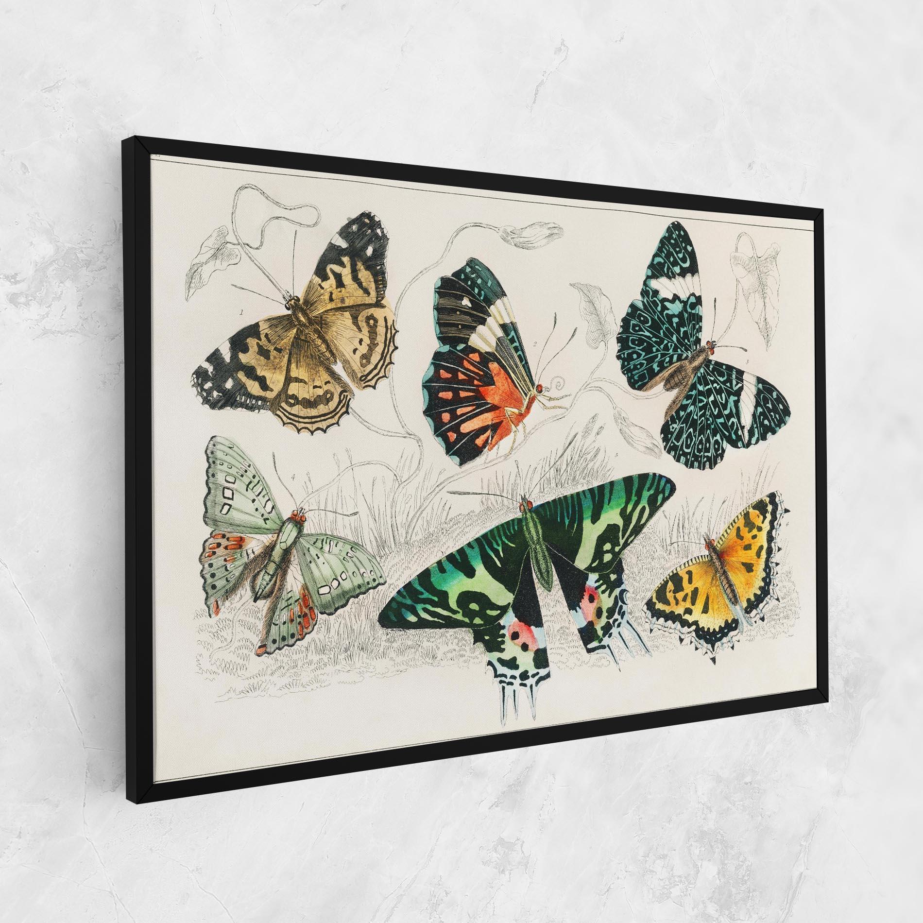 Leinwandbild Butterfly Art mockup 1