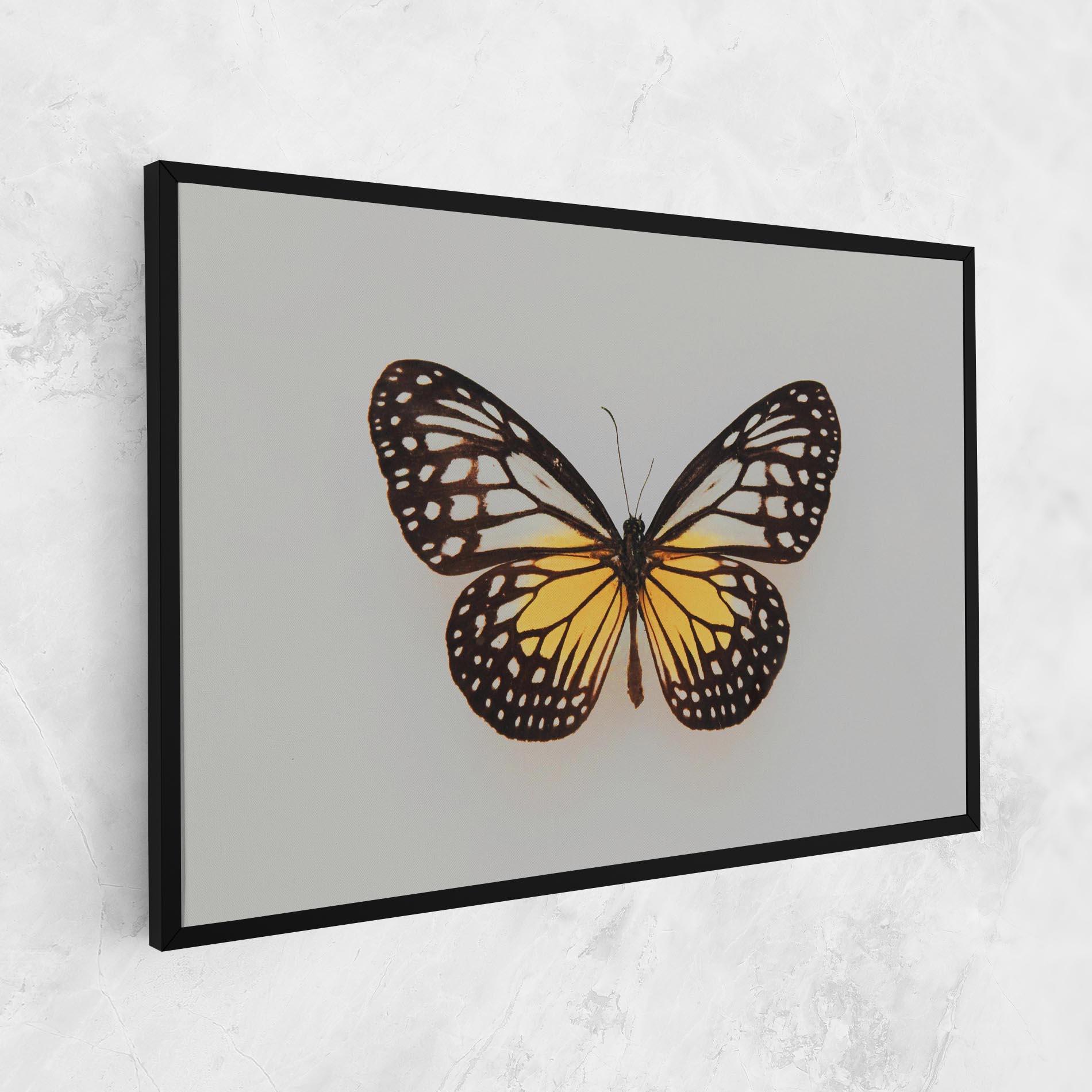 Leinwandbild Butterfly On Grey mockup 1