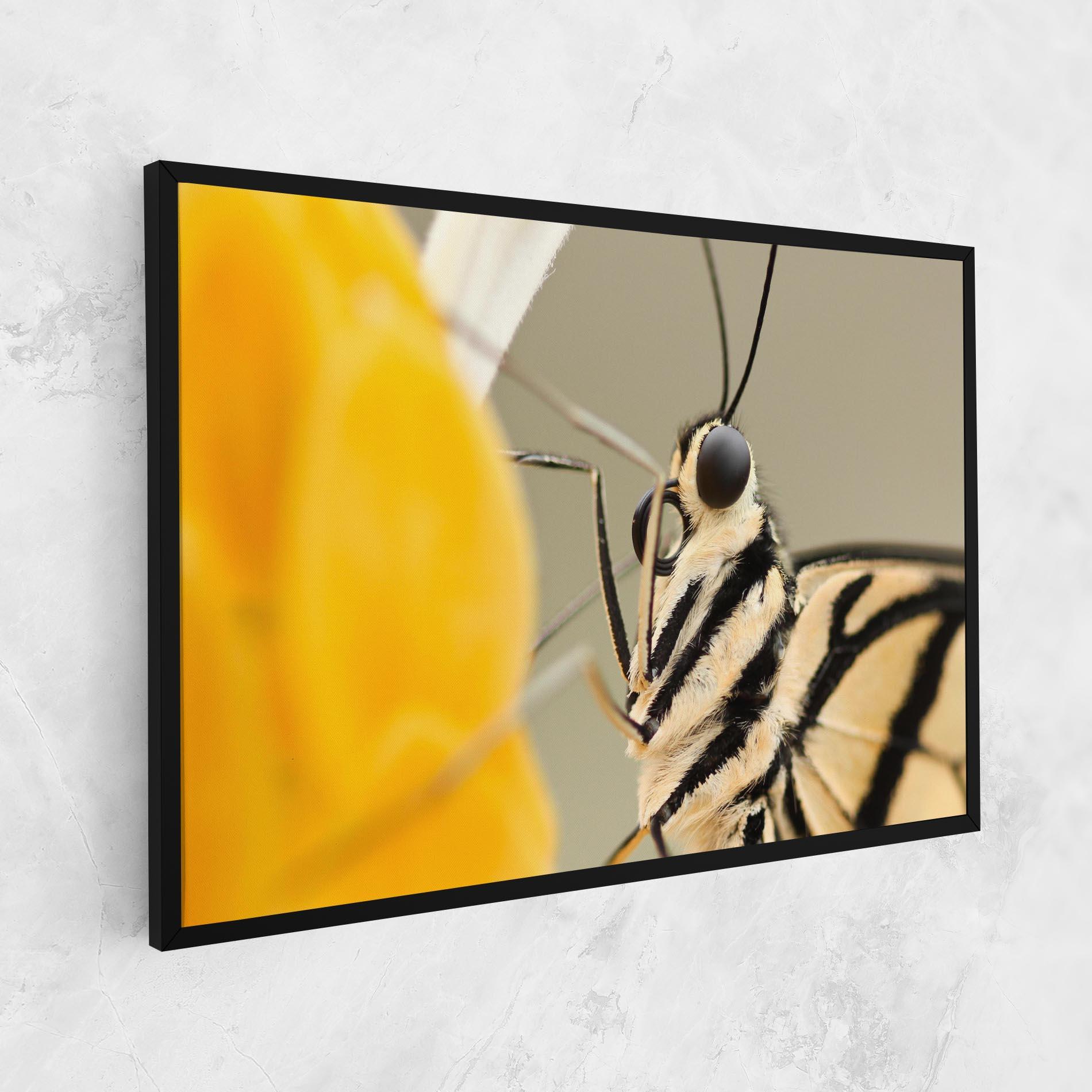 Leinwandbild Close Up Cream Butterfly mockup 1