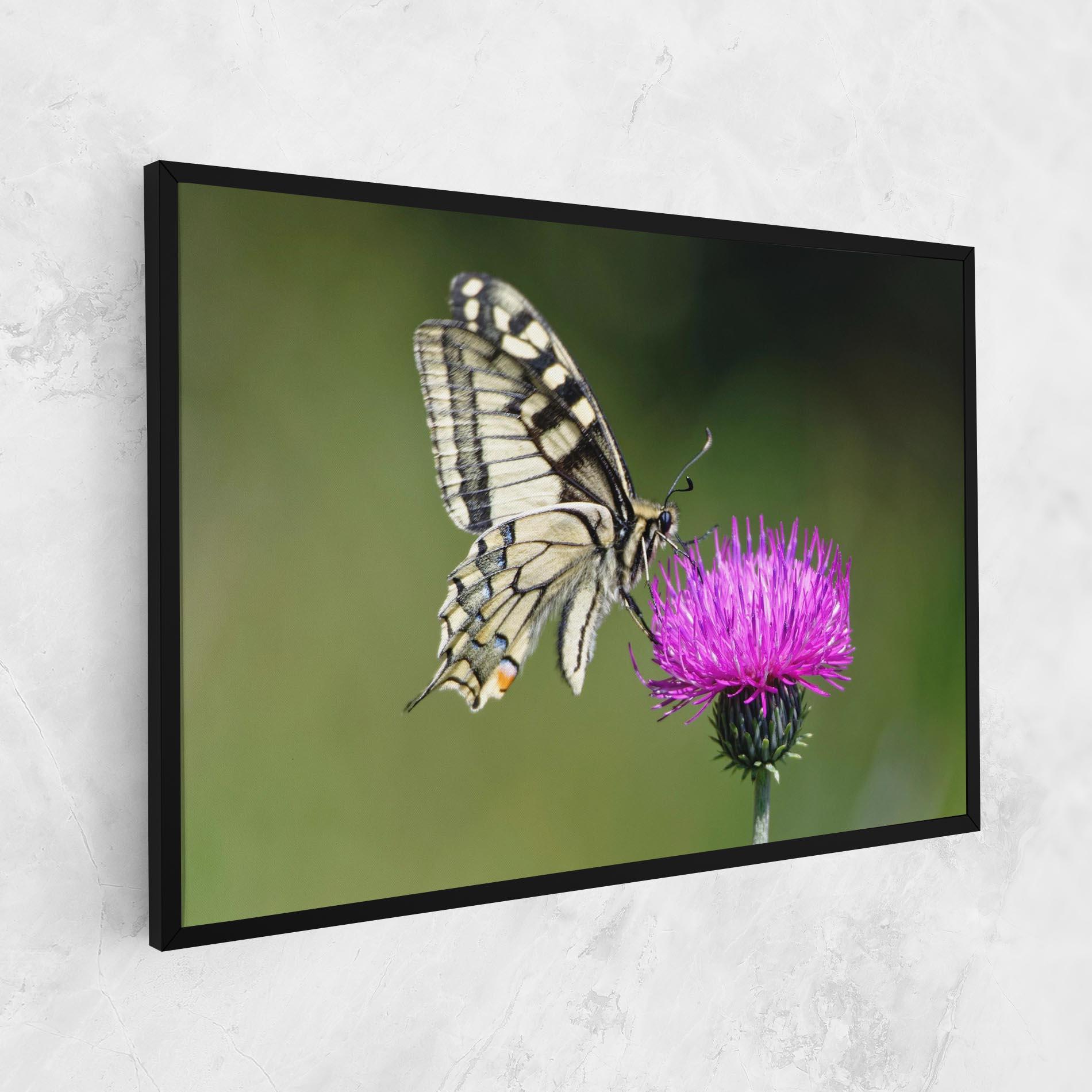 Leinwandbild White Butterfly Pollen mockup 1