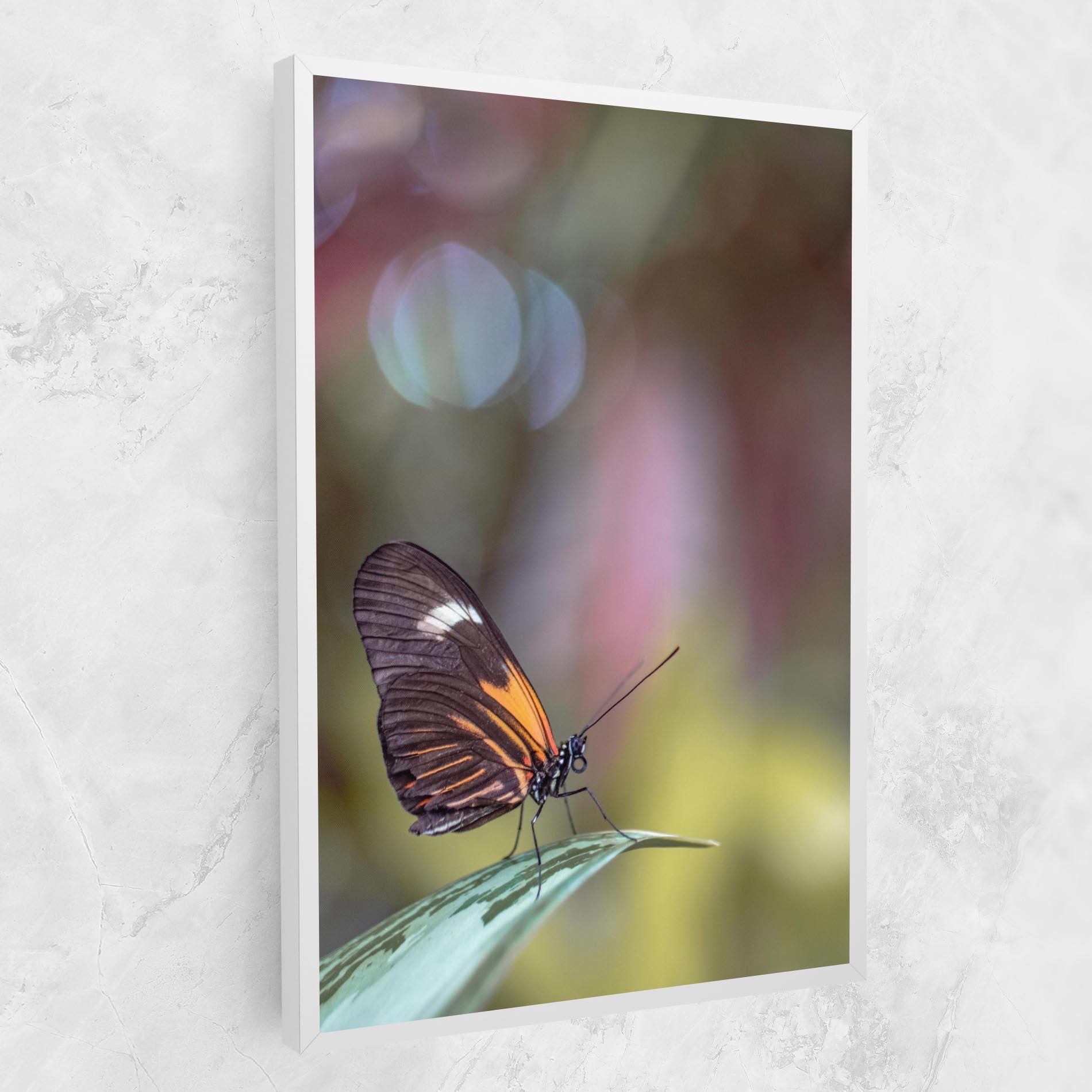 Leinwandbild Dark Purple Butterfly mockup 1