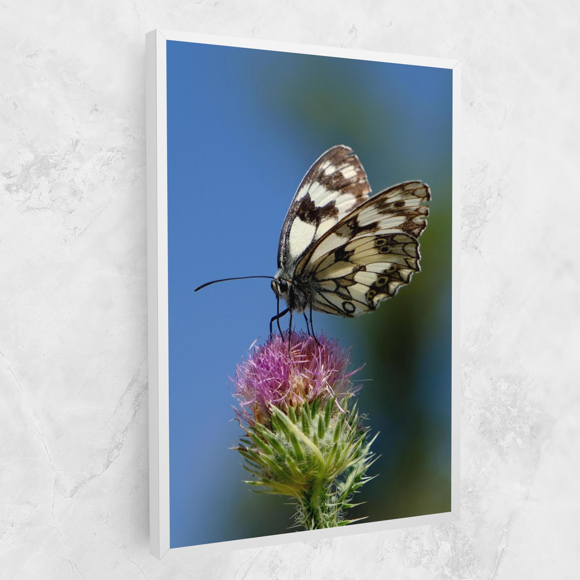 Leinwandbild Grey White Butterfly mockup 1