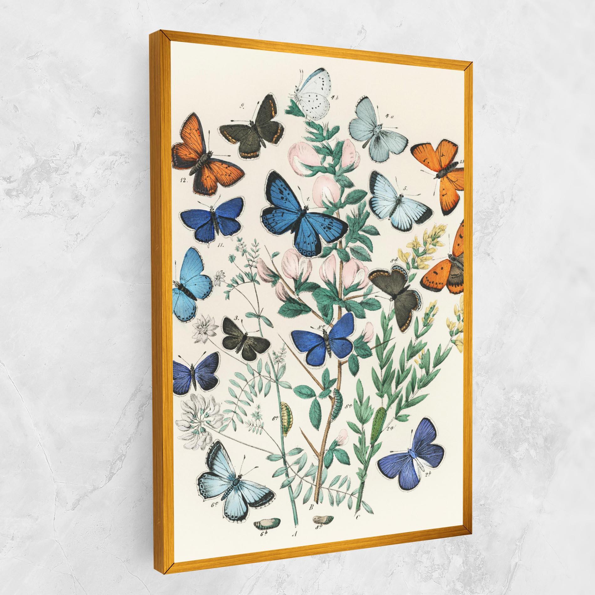 Leinwandbild Blue Orange Butterflies mockup 1
