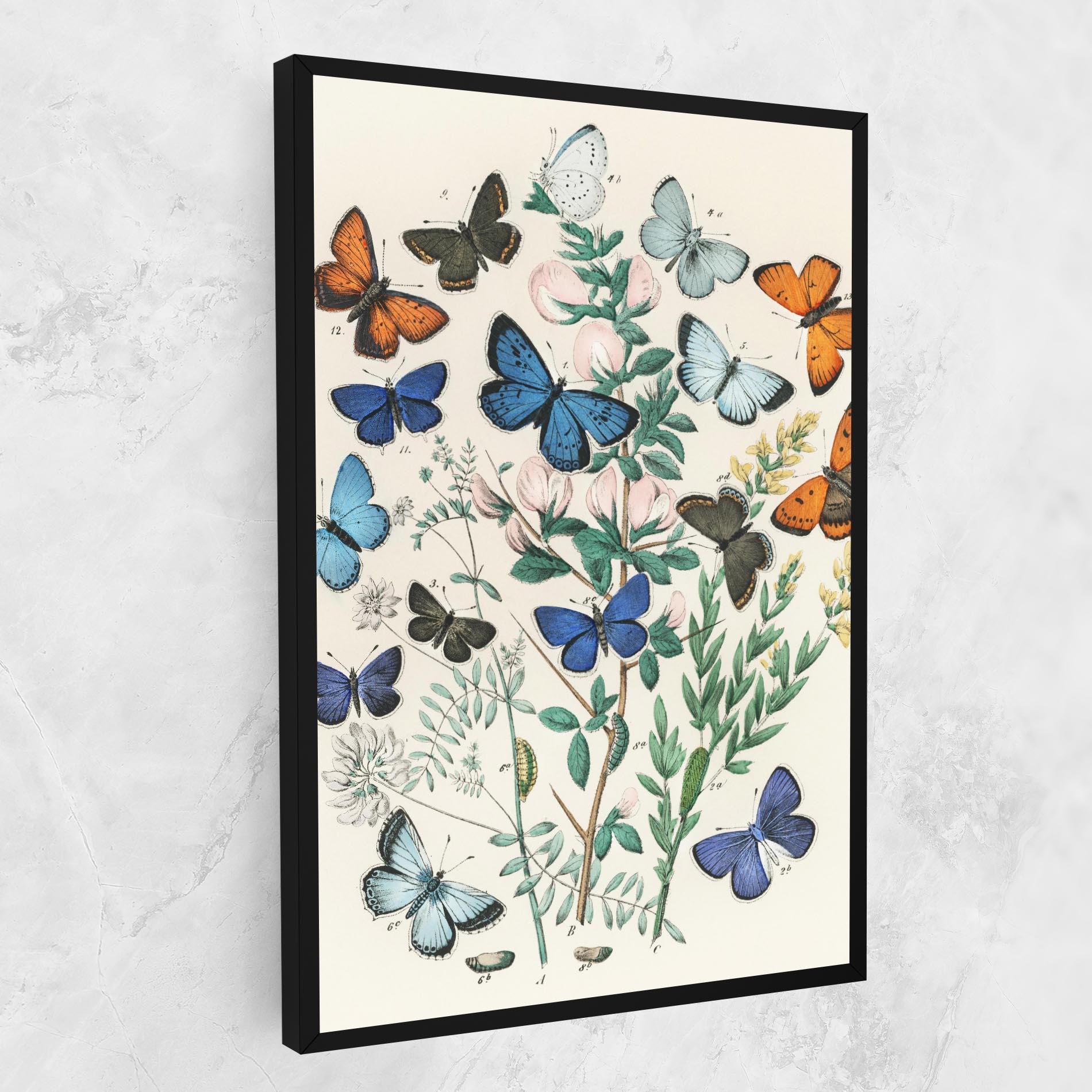 Leinwandbild Blue Orange Butterflies mockup 1