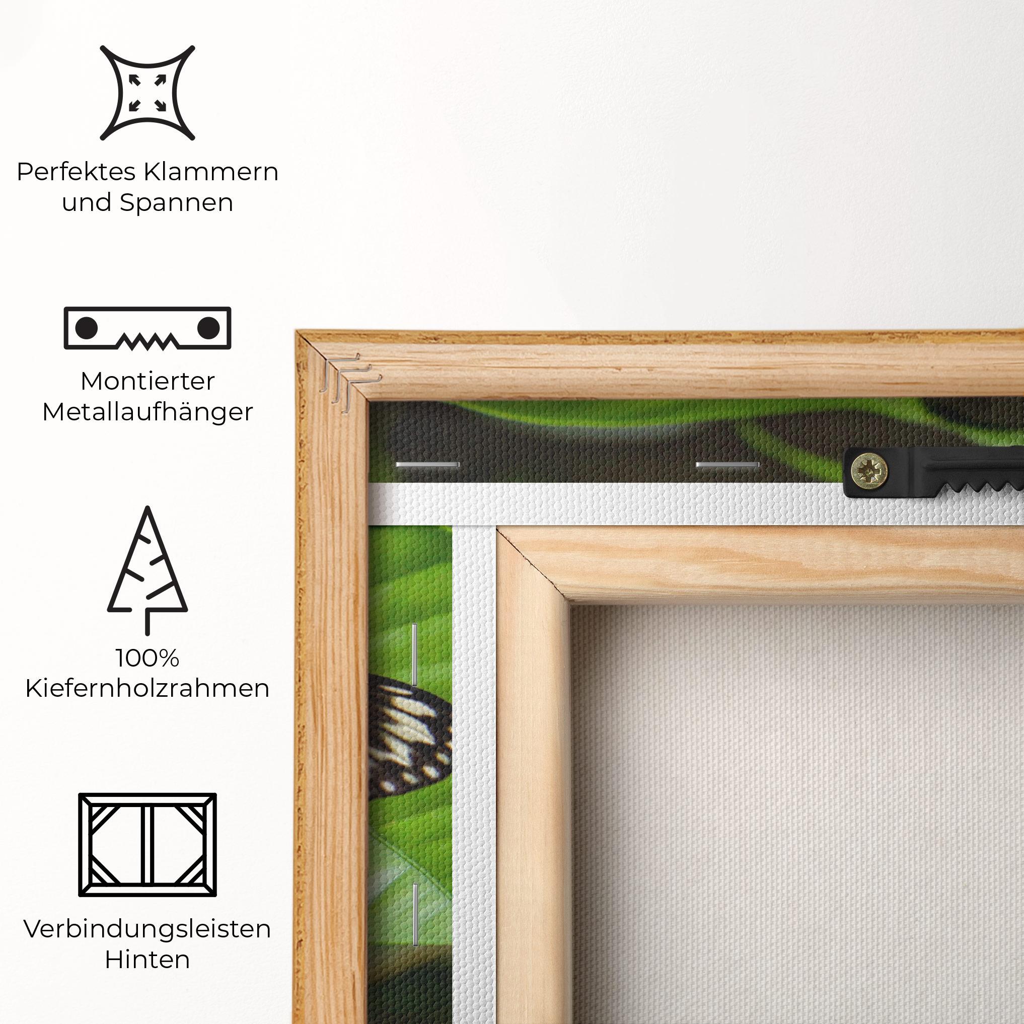 Leinwandbild Beautiful White Butterfly mockup 5