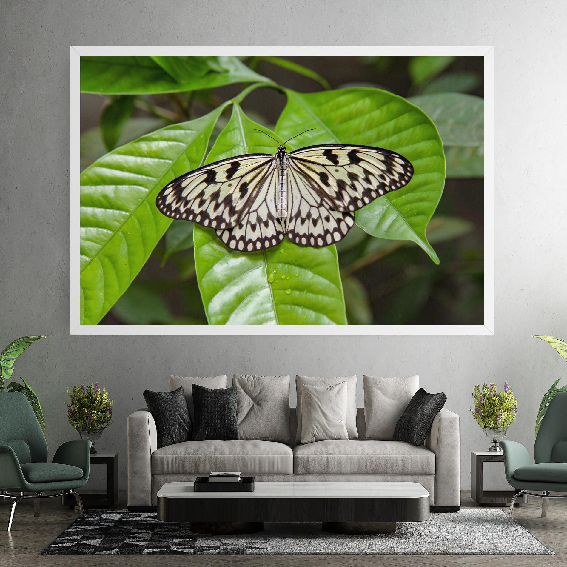 Leinwandbild Beautiful White Butterfly mockup 7