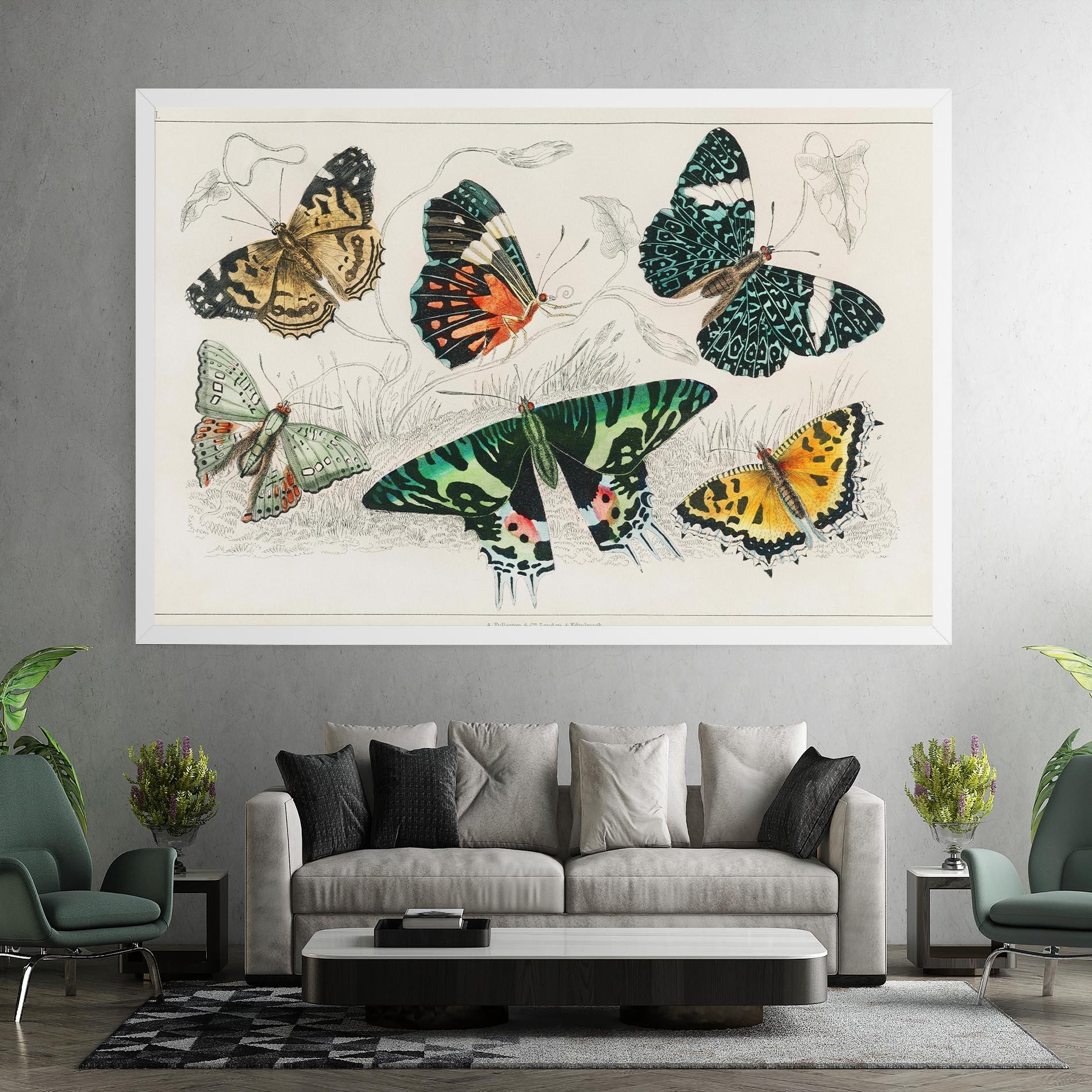 Leinwandbild Butterfly Art mockup 7