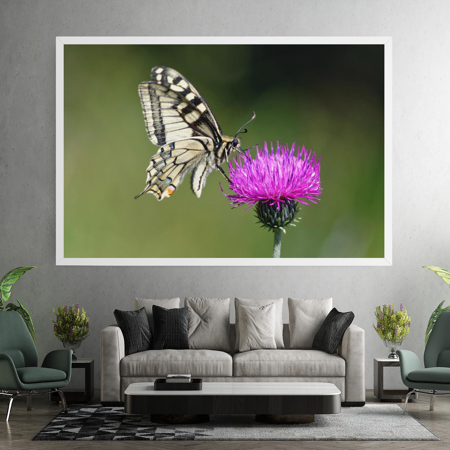 Leinwandbild White Butterfly Pollen mockup 7