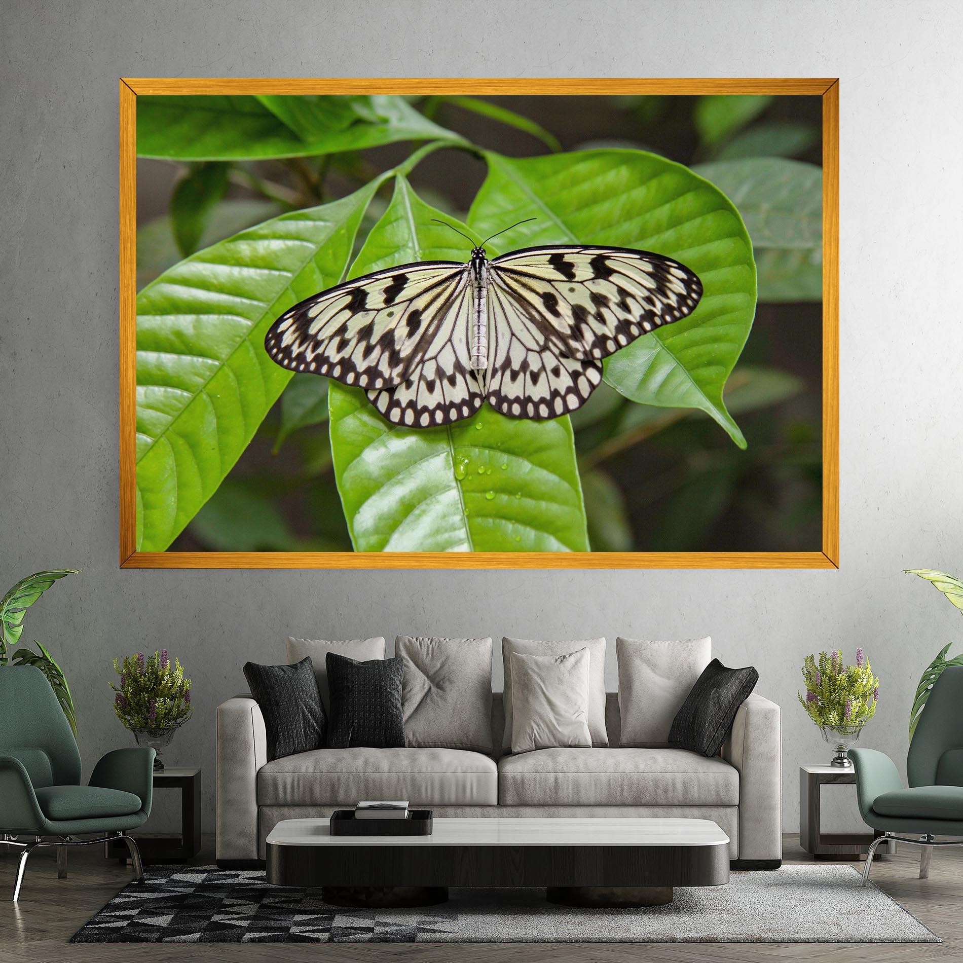 Leinwandbild Beautiful White Butterfly mockup 7