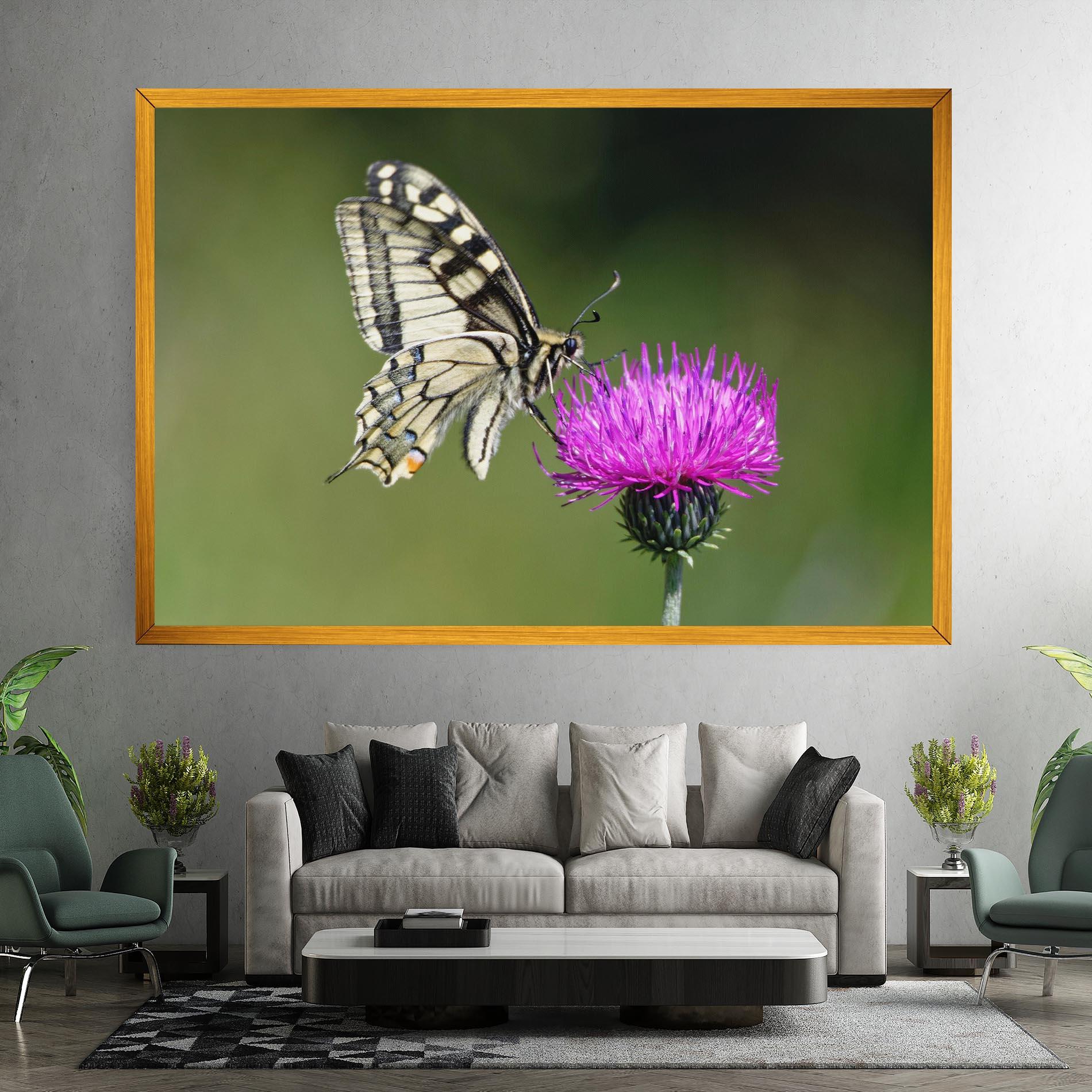 Leinwandbild White Butterfly Pollen mockup 7