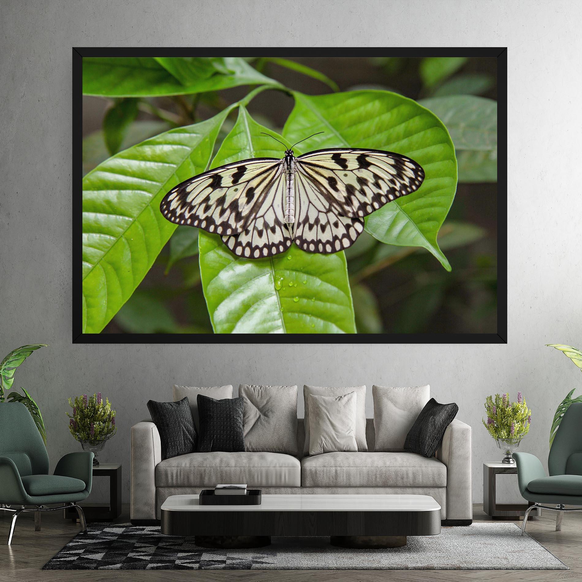 Leinwandbild Beautiful White Butterfly mockup 7