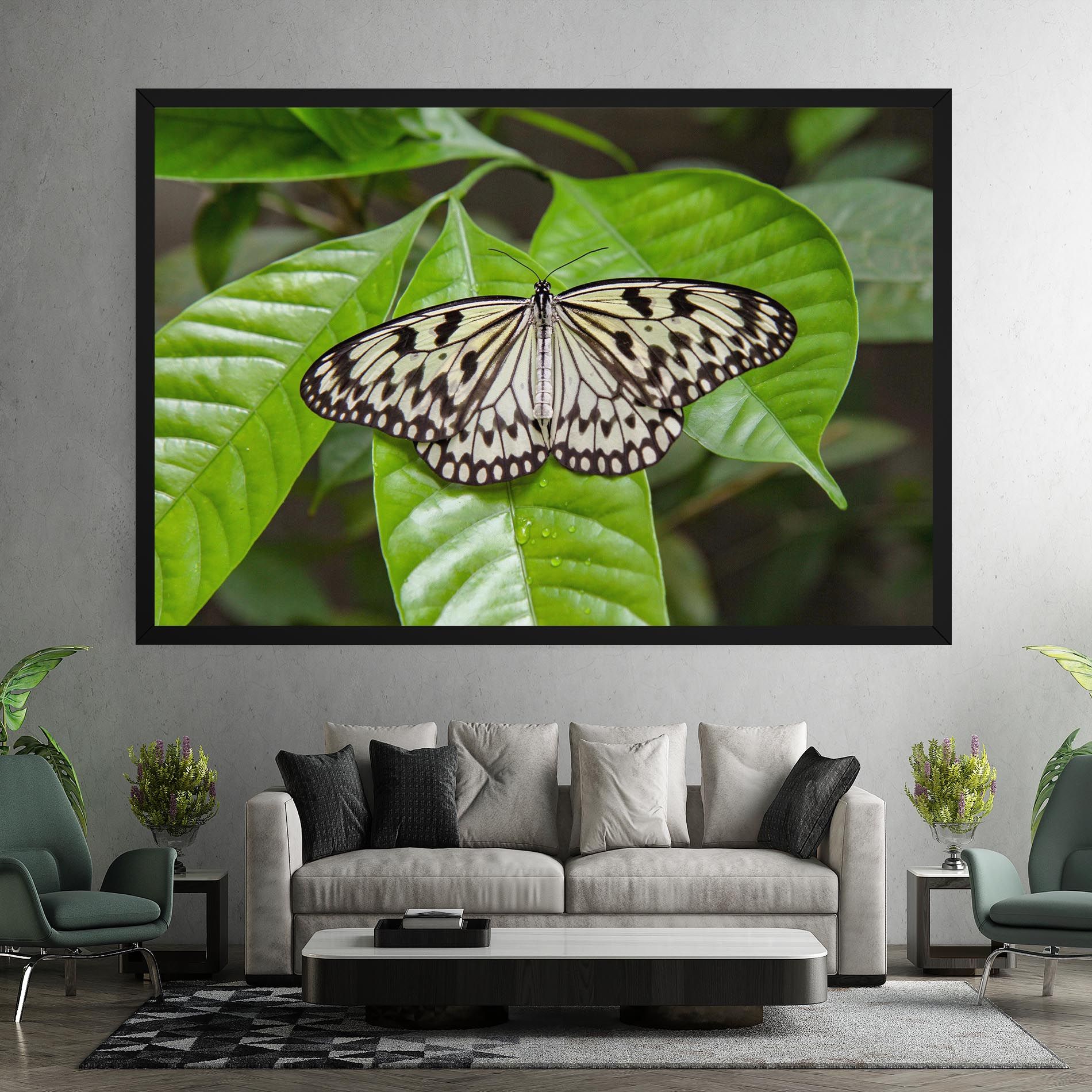 Beautiful White Butterfly mockup 7