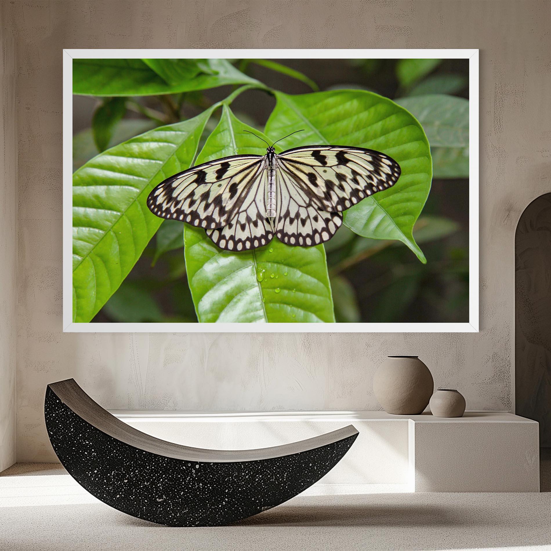 Leinwandbild Beautiful White Butterfly mockup 8