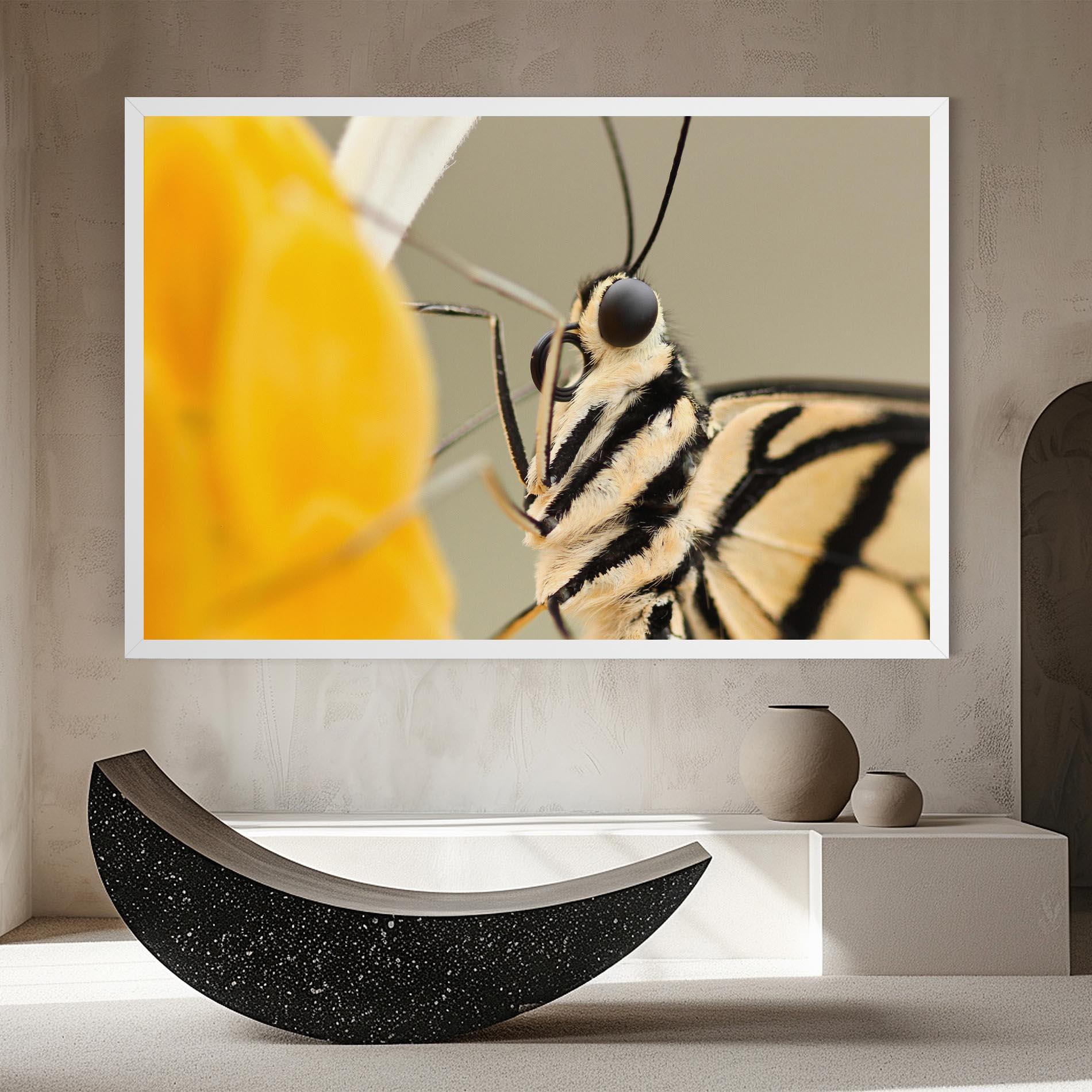 Leinwandbild Close Up Cream Butterfly mockup 8