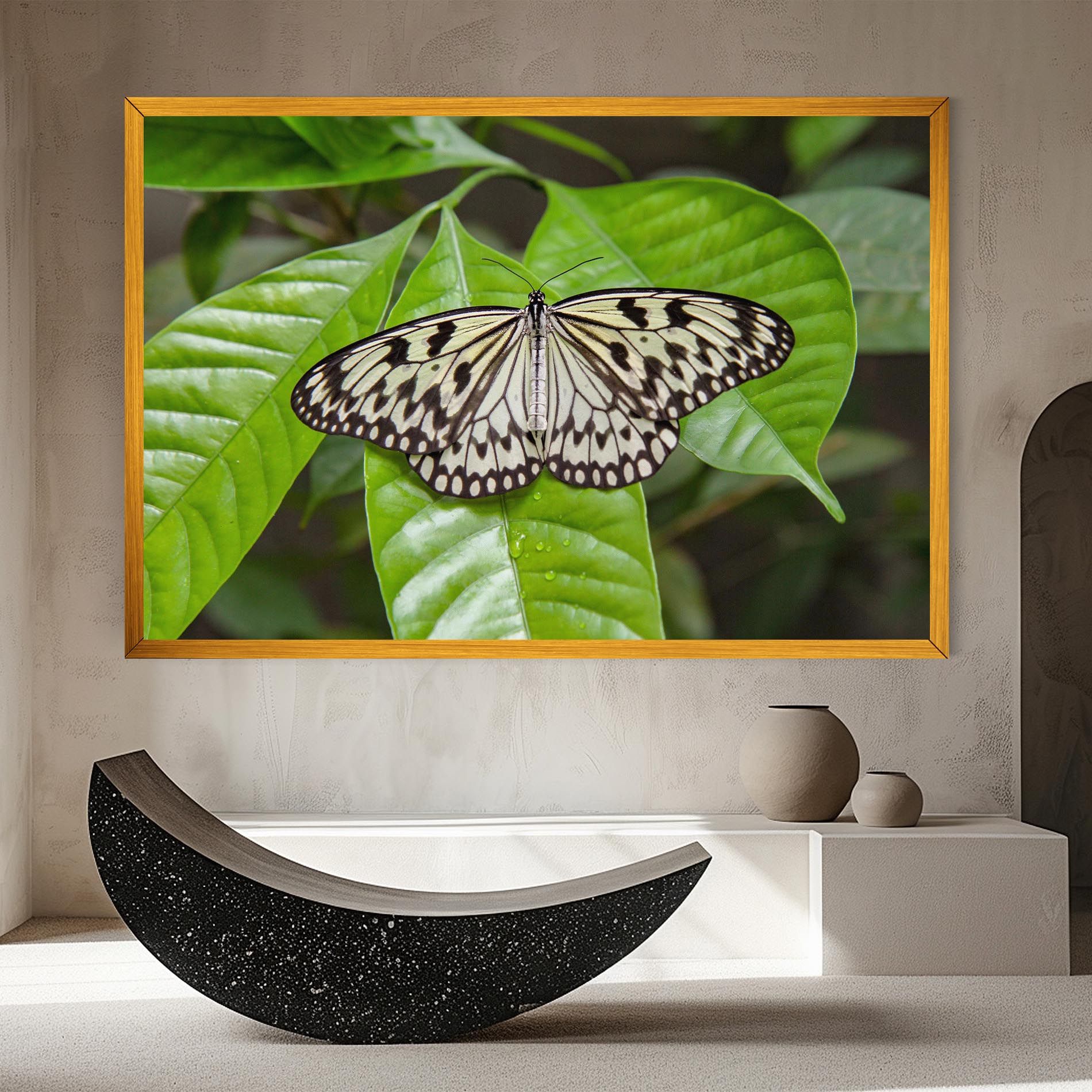 Beautiful White Butterfly mockup 8