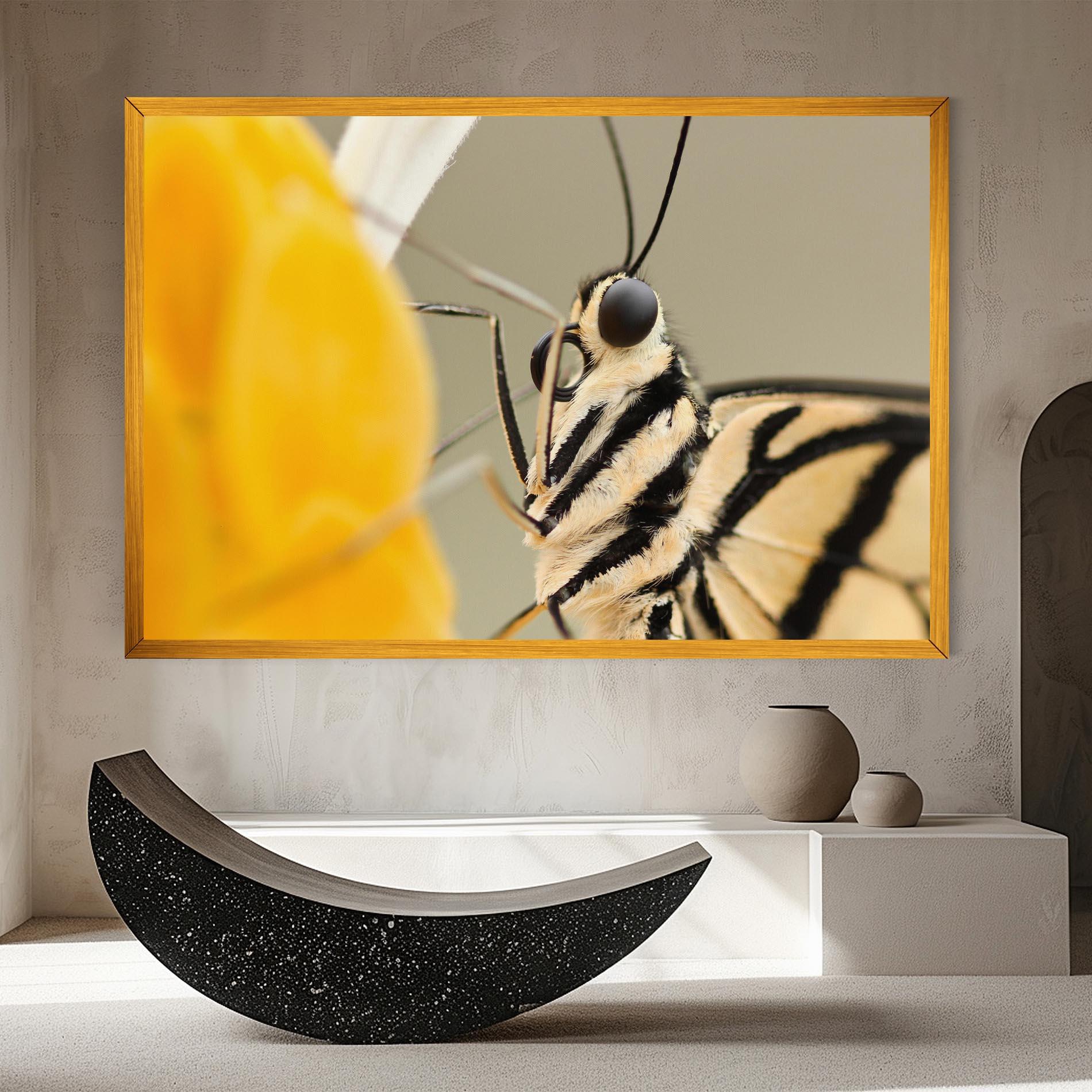 Leinwandbild Close Up Cream Butterfly mockup 8