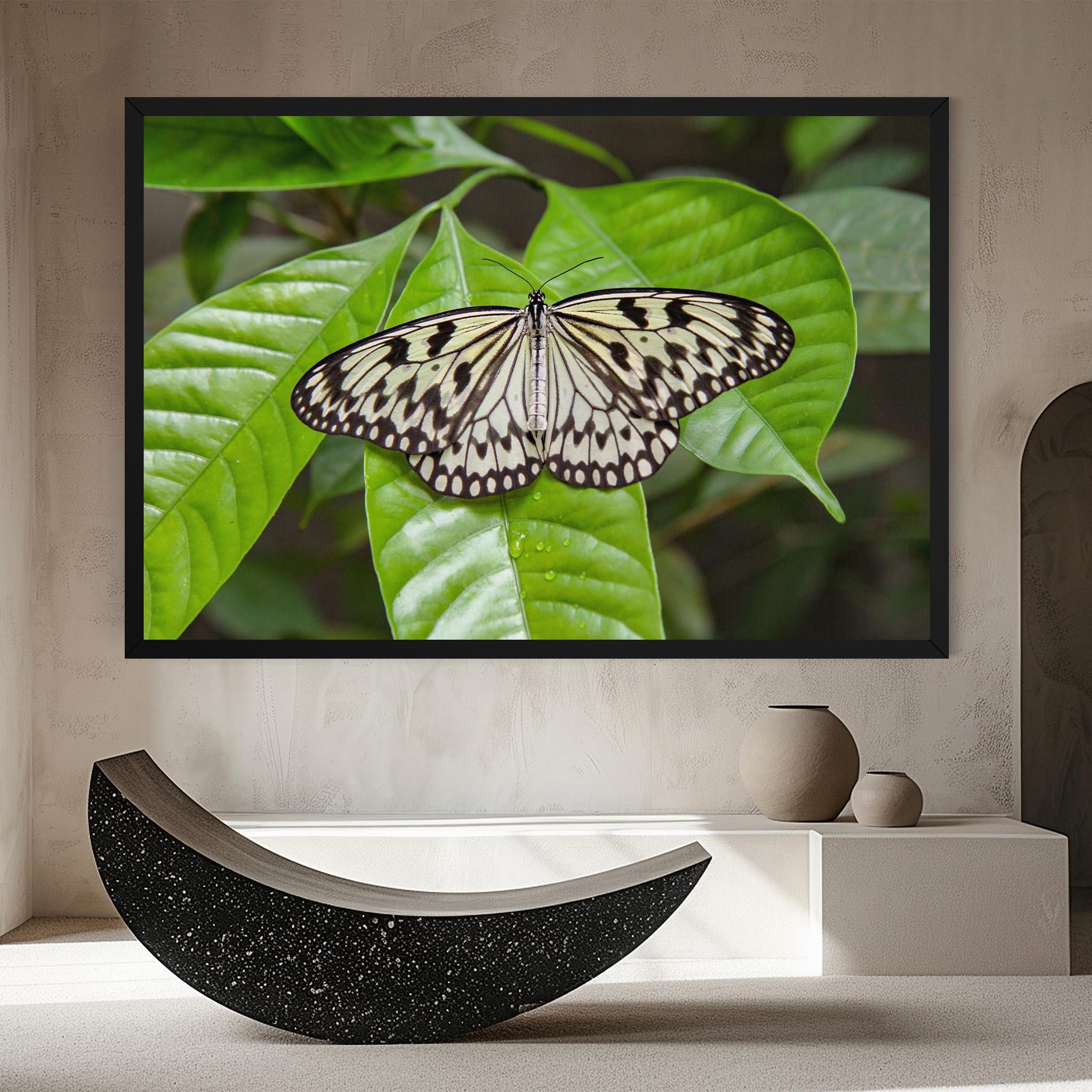 Leinwandbild Beautiful White Butterfly mockup 8