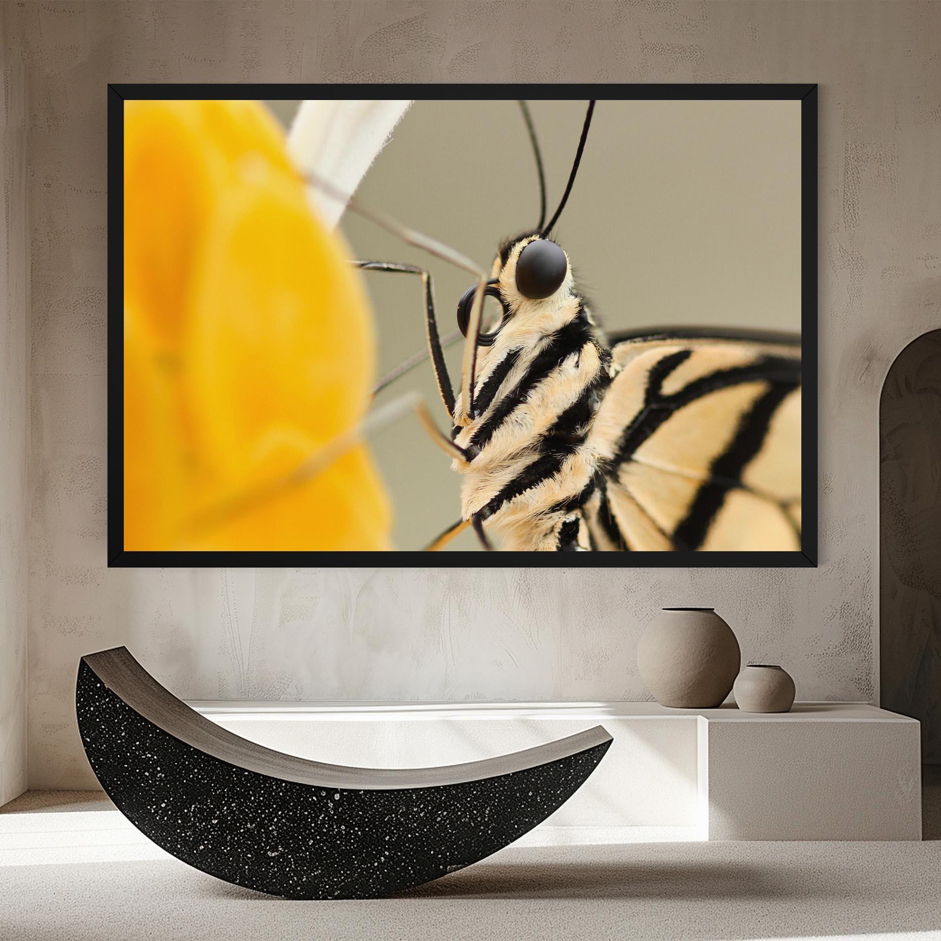 Leinwandbild Close Up Cream Butterfly mockup 8