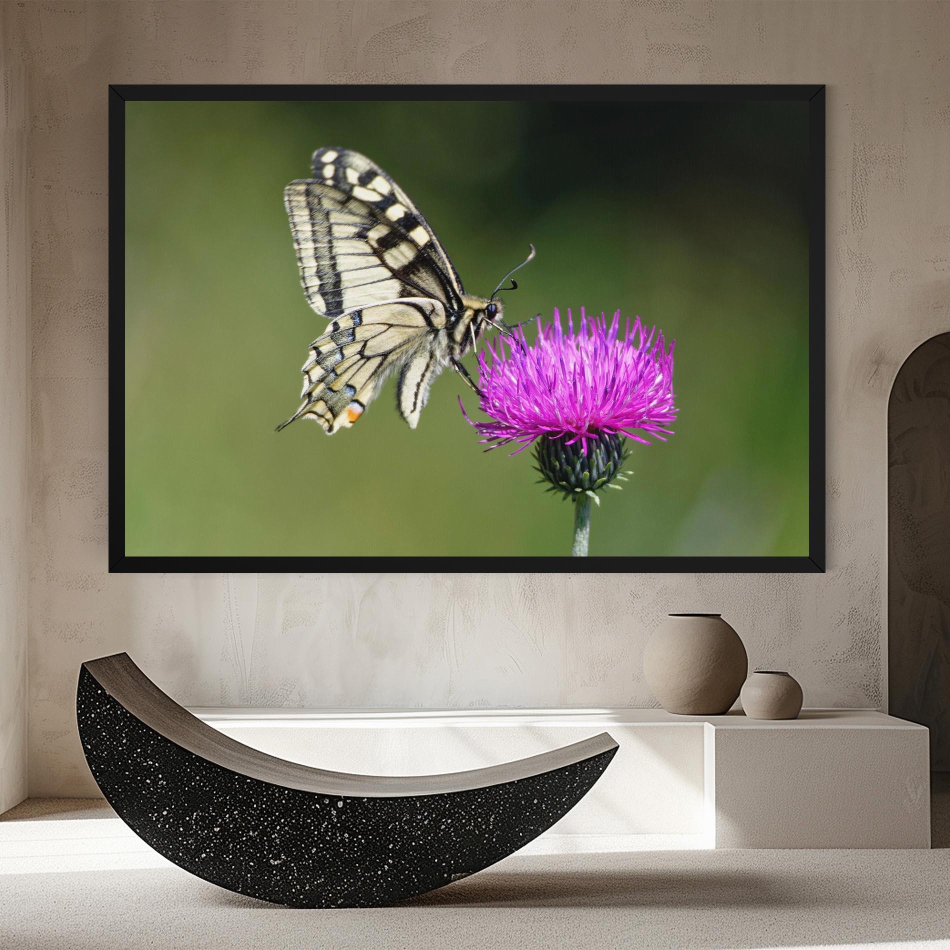 Leinwandbild White Butterfly Pollen mockup 8