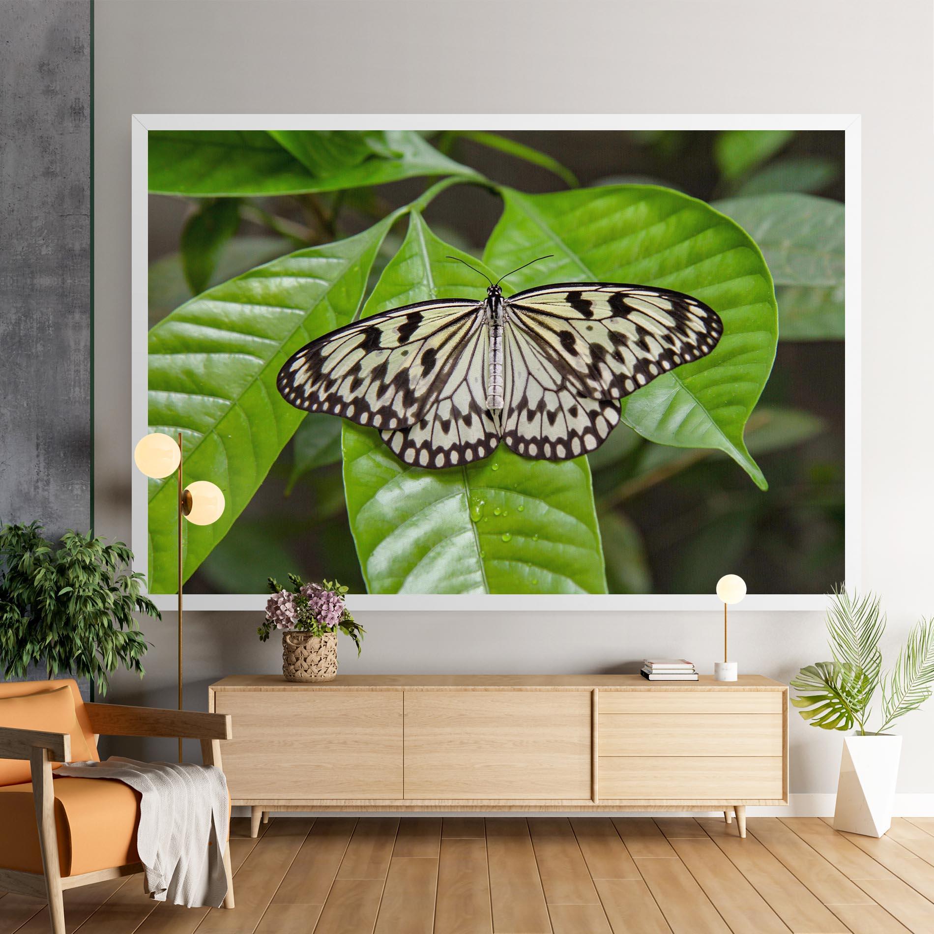 Leinwandbild Beautiful White Butterfly mockup 9