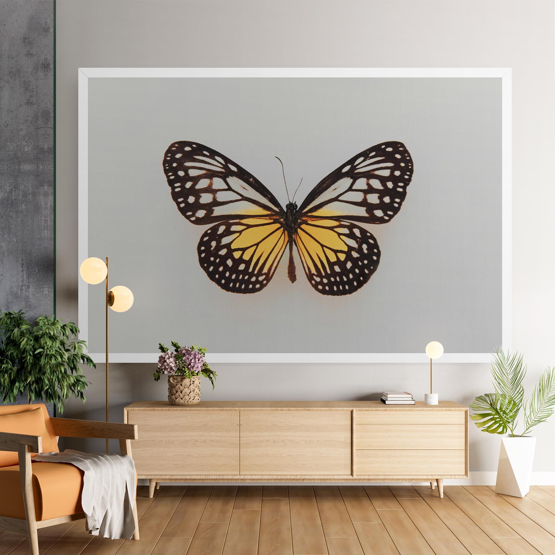 Leinwandbild Butterfly On Grey mockup 9