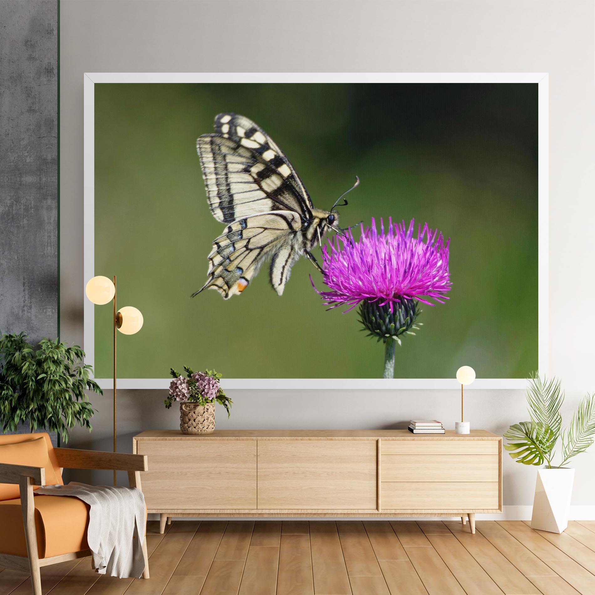 Leinwandbild White Butterfly Pollen mockup 9