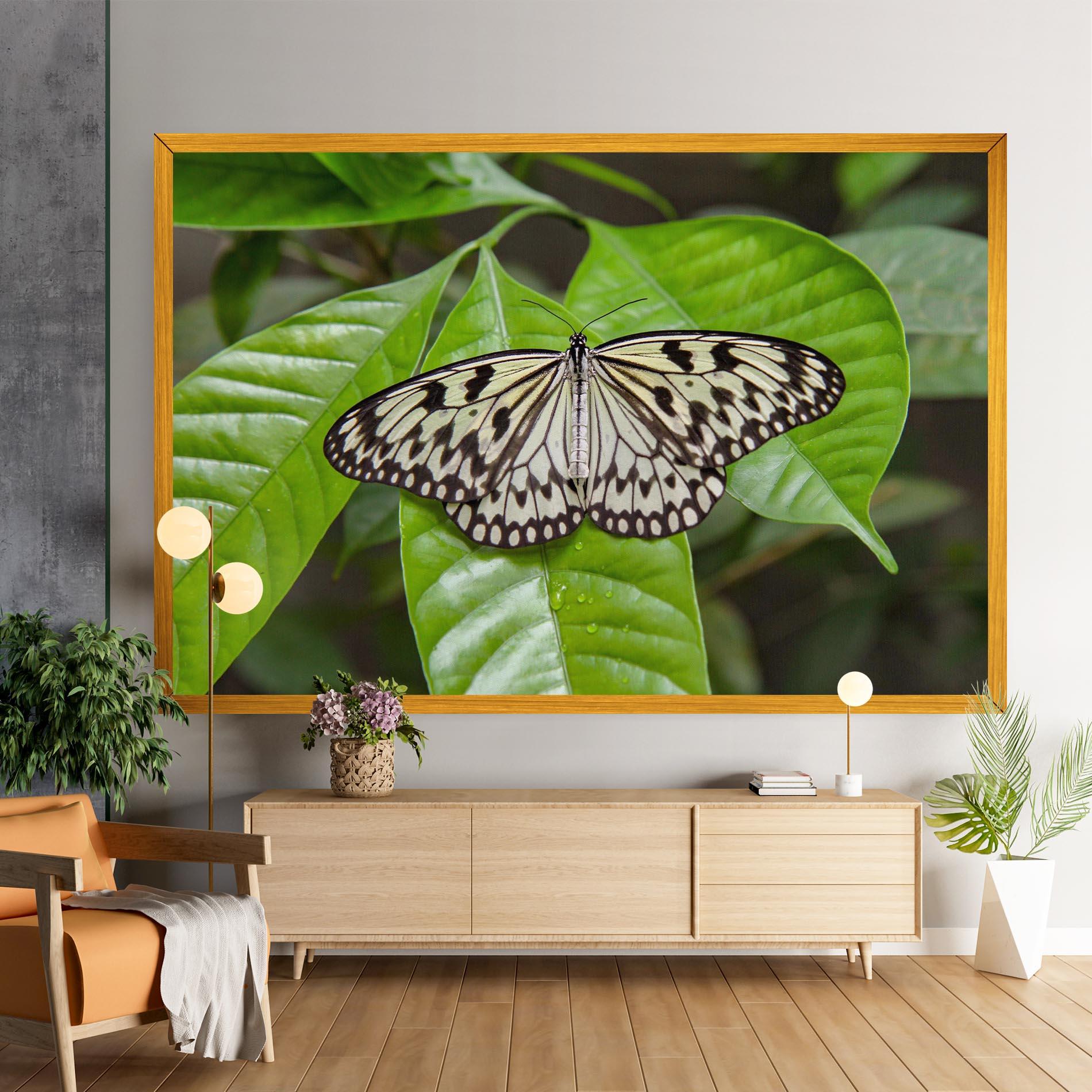 Leinwandbild Beautiful White Butterfly mockup 9
