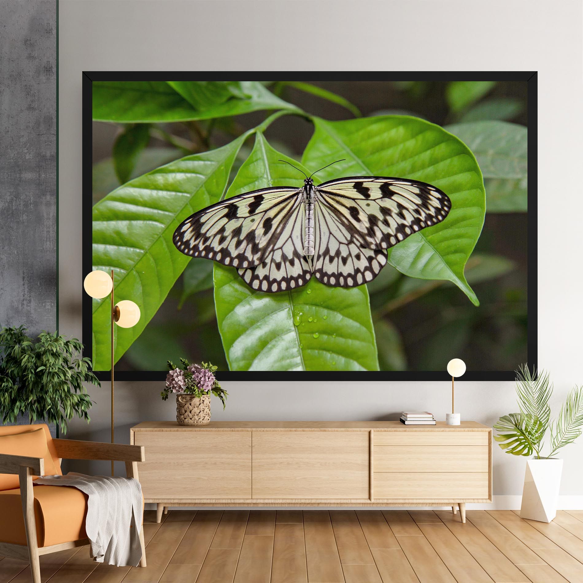 Beautiful White Butterfly mockup 9
