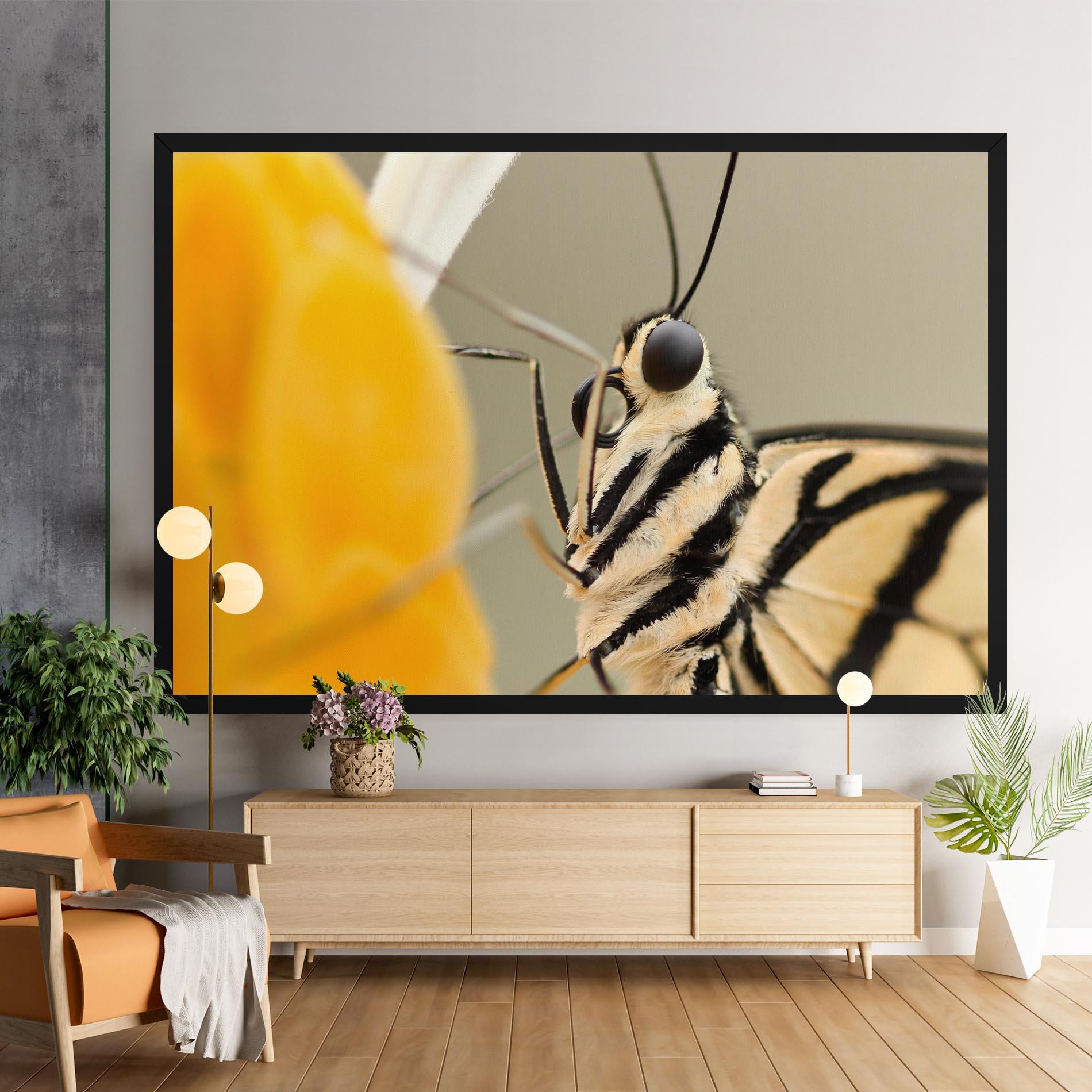 Leinwandbild Close Up Cream Butterfly mockup 9