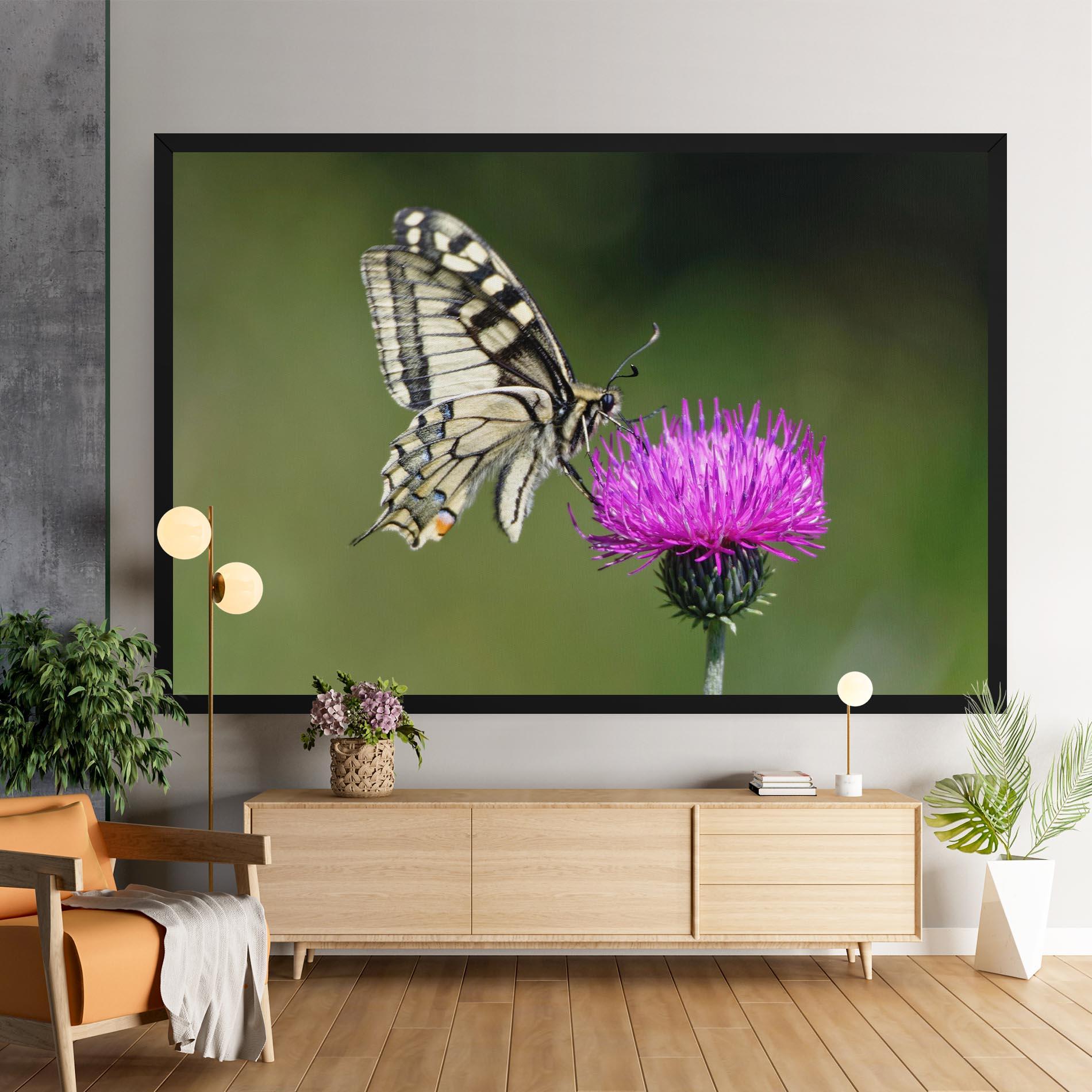 Leinwandbild White Butterfly Pollen mockup 9