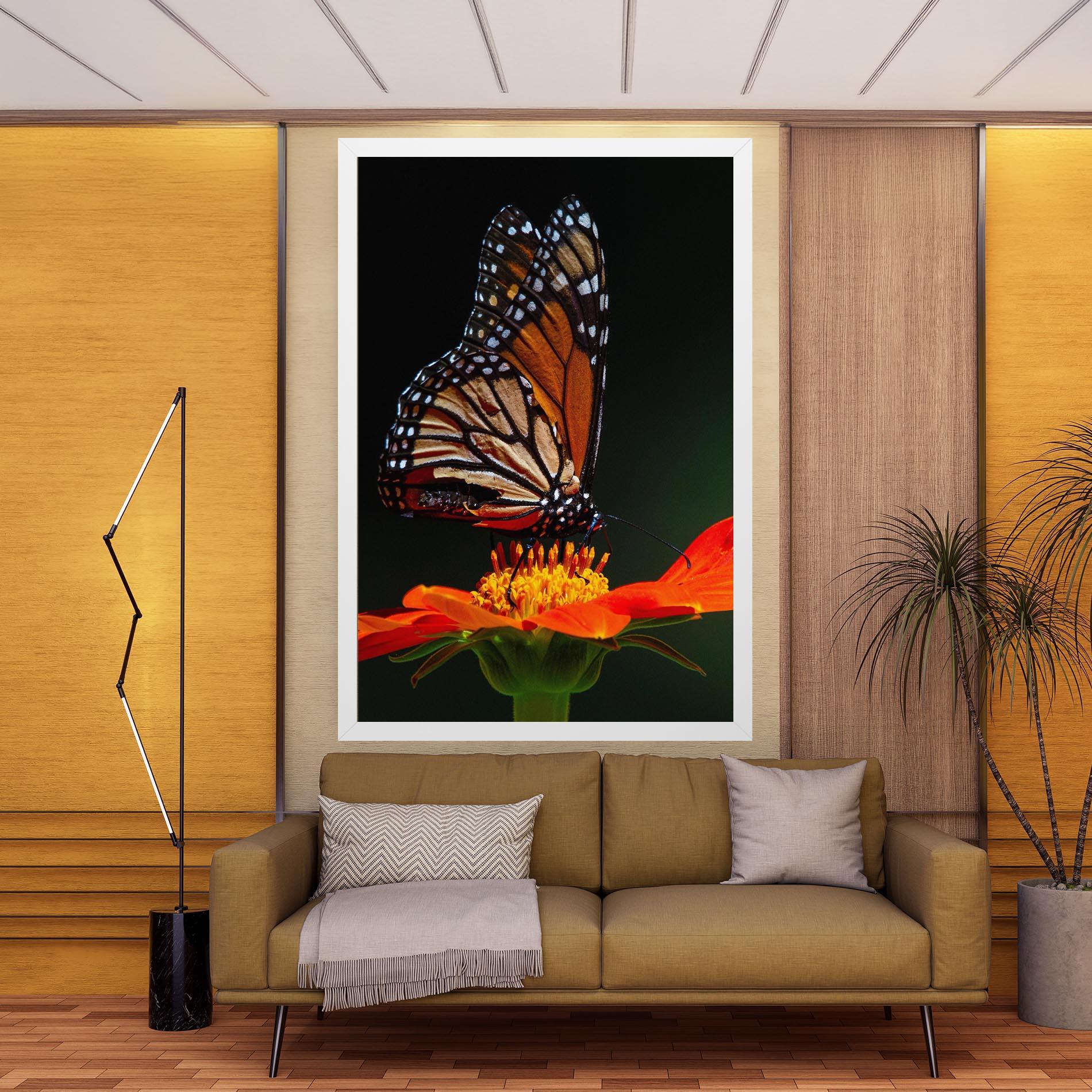 Leinwandbild Dark Orange Butterfy mockup 9