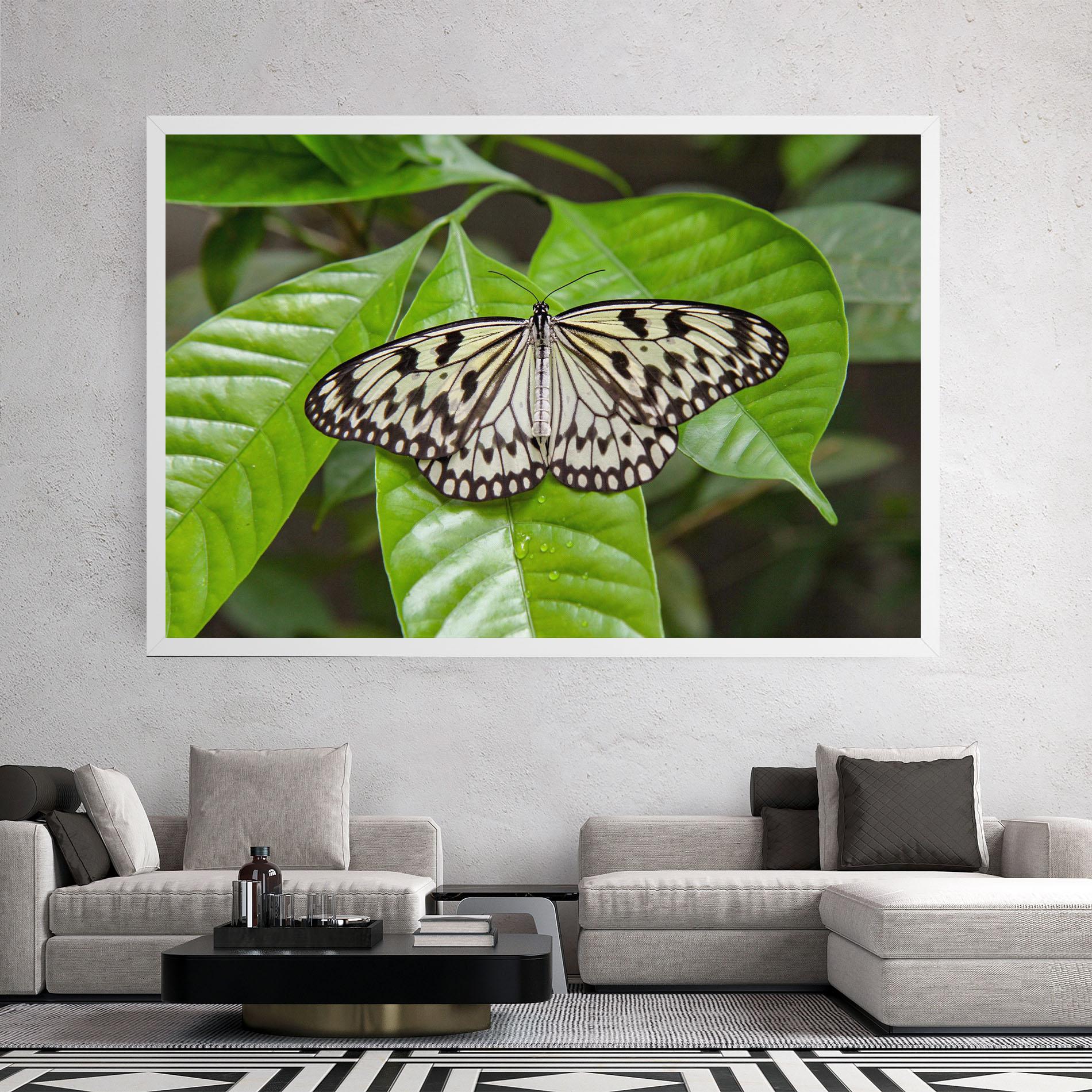 Leinwandbild Beautiful White Butterfly mockup 2