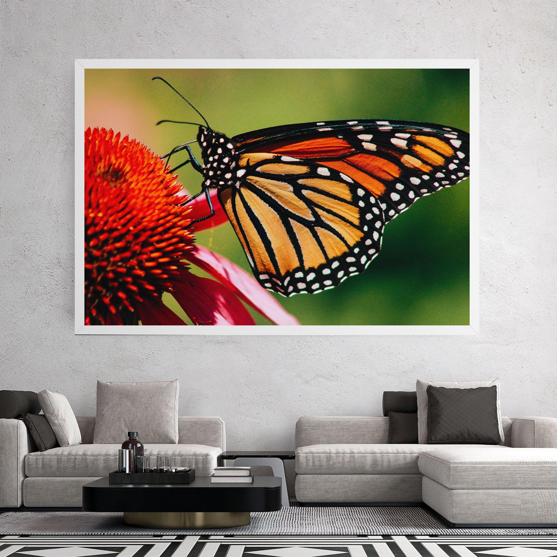 Leinwandbild Big Orange Butterfly mockup 2