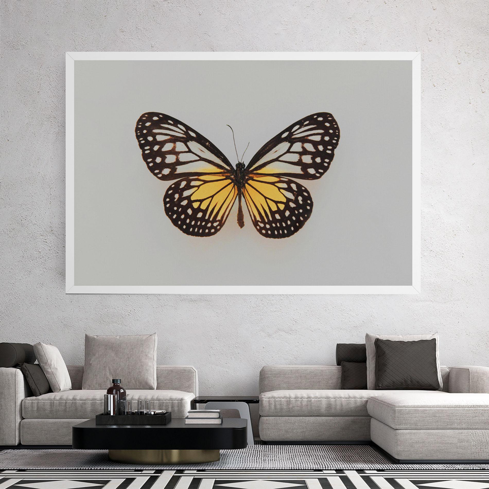 Leinwandbild Butterfly On Grey mockup 2