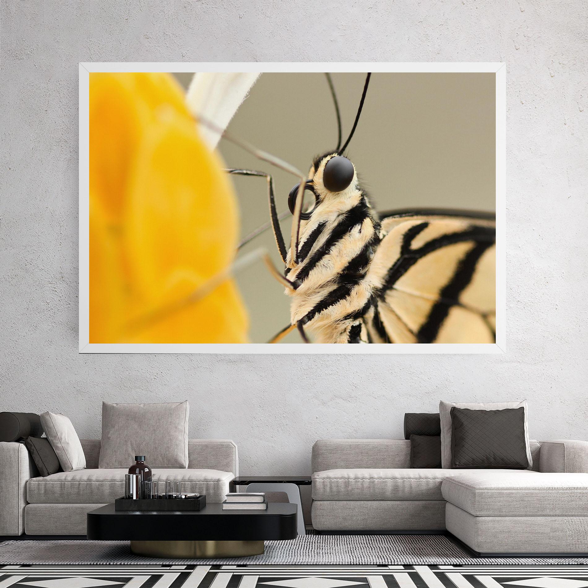 Leinwandbild Close Up Cream Butterfly mockup 2