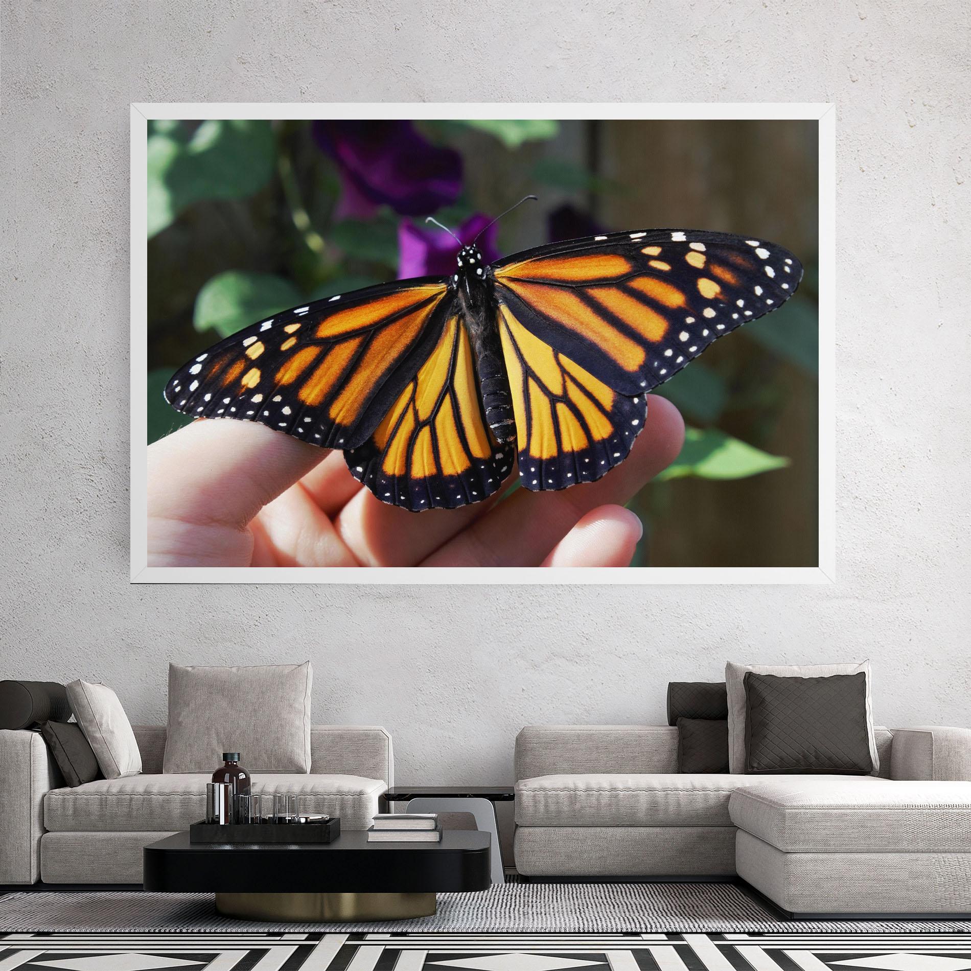 Leinwandbild Open Orange Butterfly mockup 2