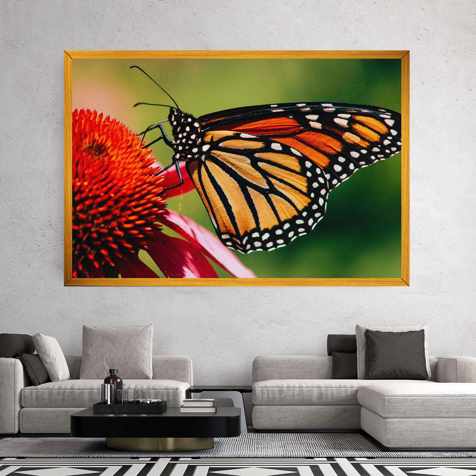 Leinwandbild Big Orange Butterfly mockup 2