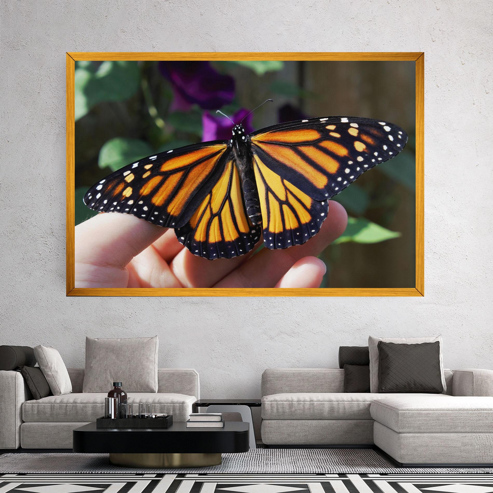 Leinwandbild Open Orange Butterfly mockup 2